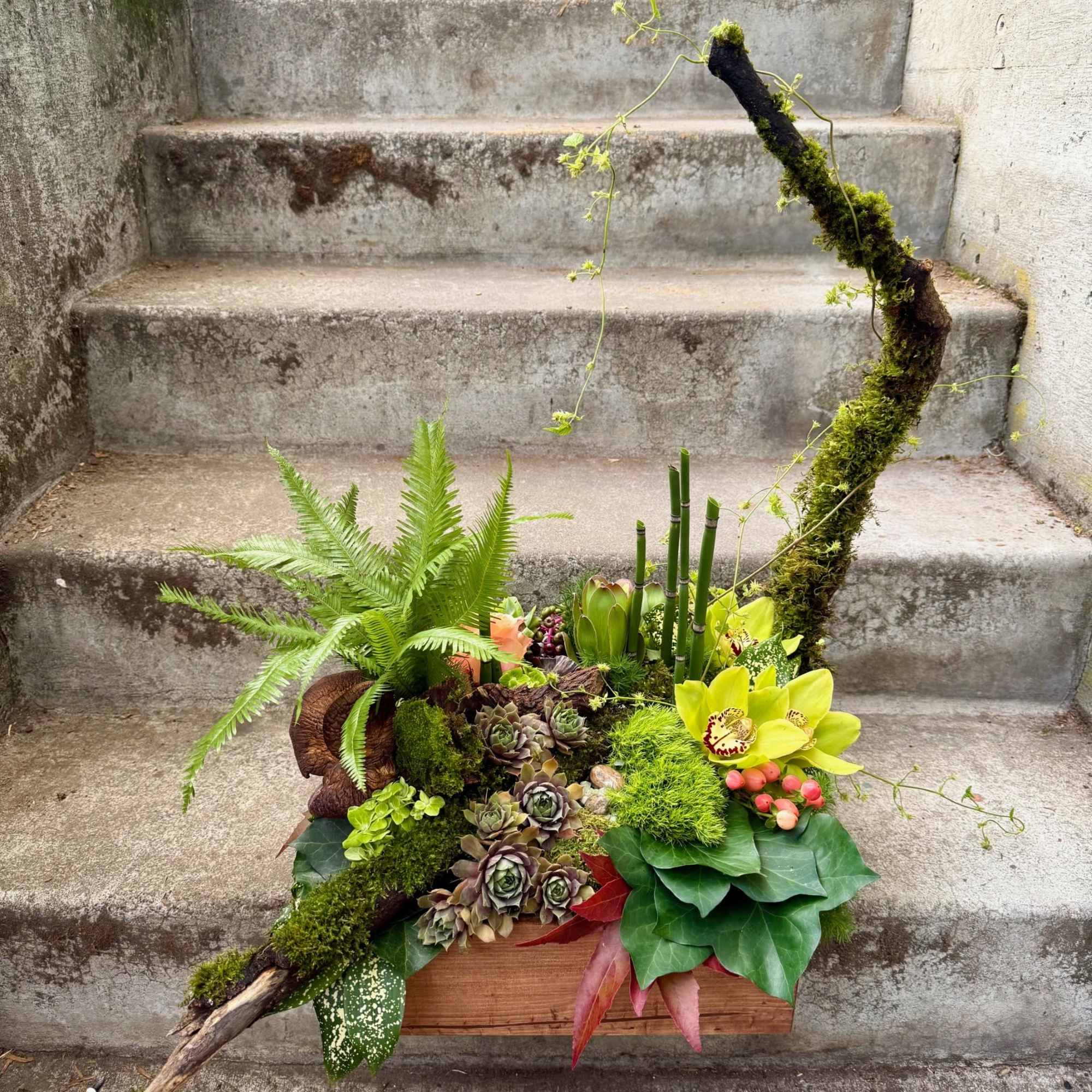 Succulent and orchid arrangement in a wooden container with a moss-covered branch