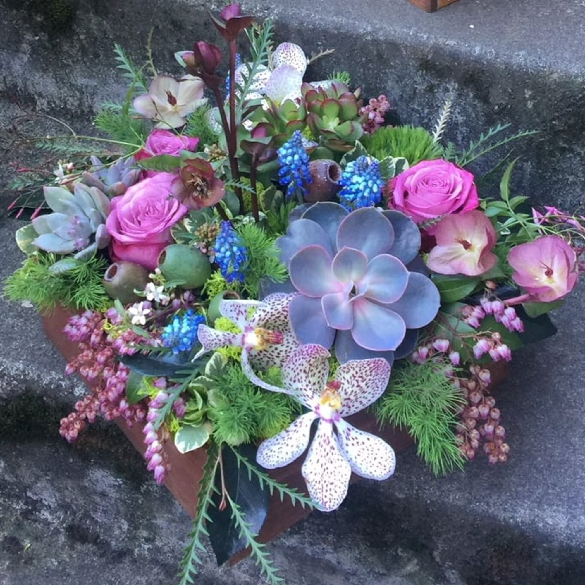 Our award-winning Texture Collection is a feast for the eyes, revealing another