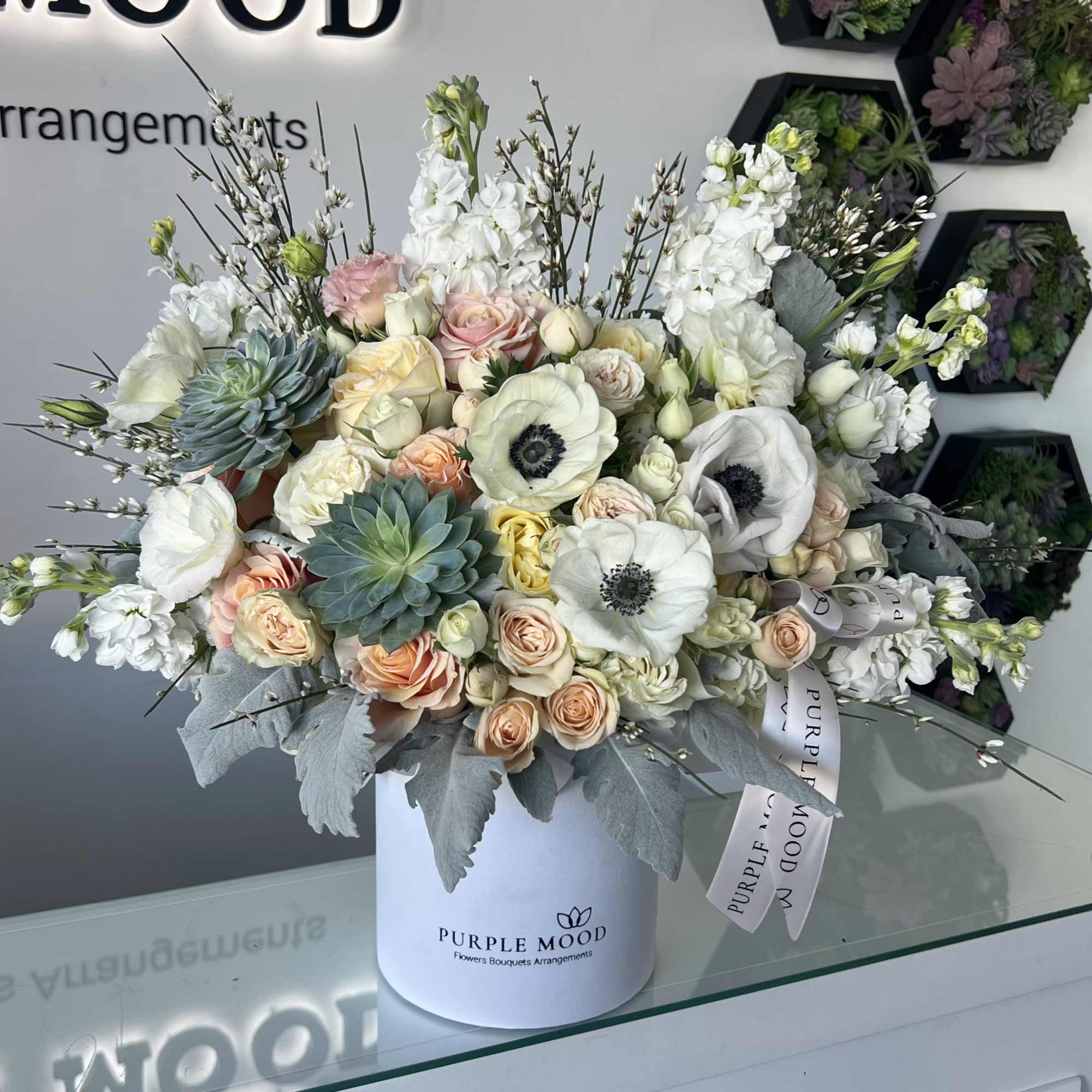 Standard container size - D6.75'x H7.5'
Deluxe container size - D8.25'x H9.5'
Premium container