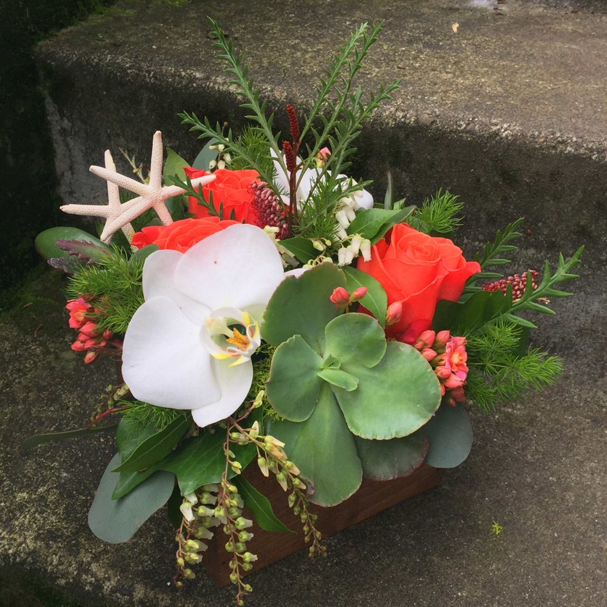 Our award-winning Texture Collection is a feast for the eyes, revealing another