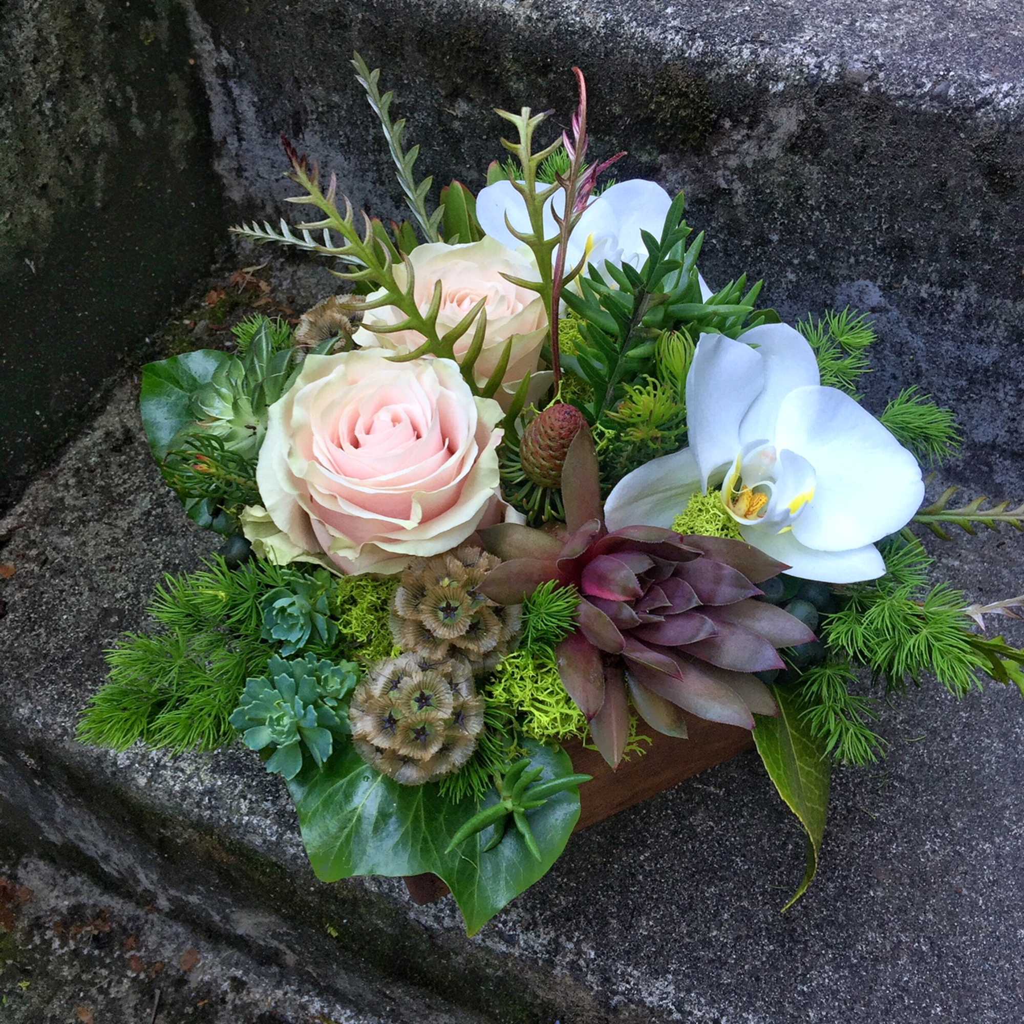 Our award-winning Texture Collection is a feast for the eyes, revealing another