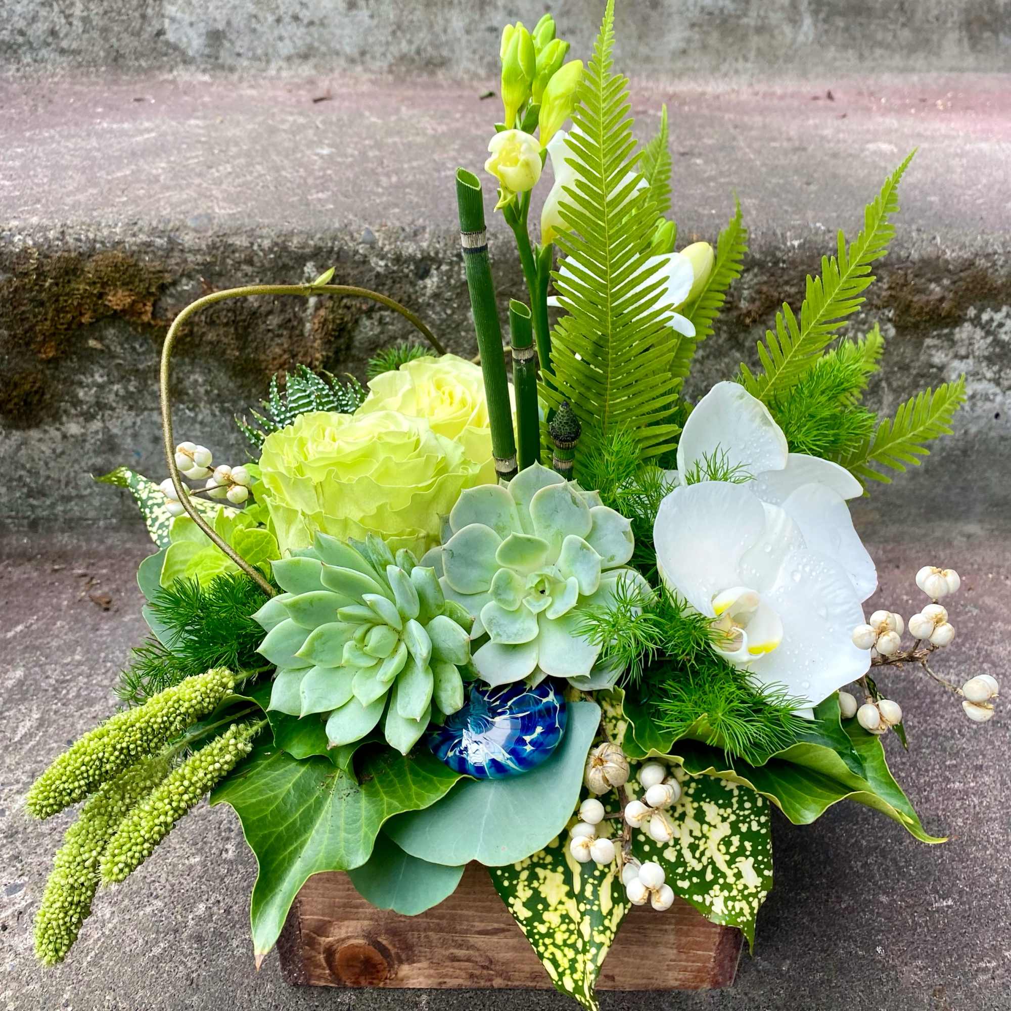 Our award-winning Texture Collection is a feast for the eyes, revealing another