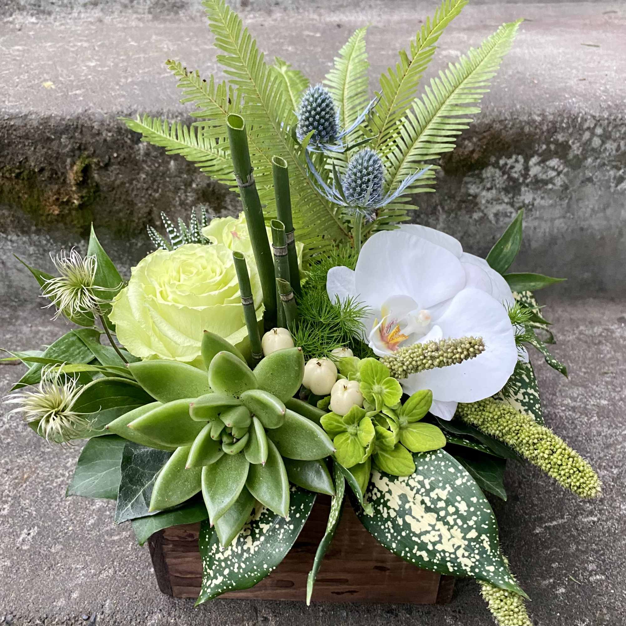 Our award-winning Texture Collection is a feast for the eyes, revealing another