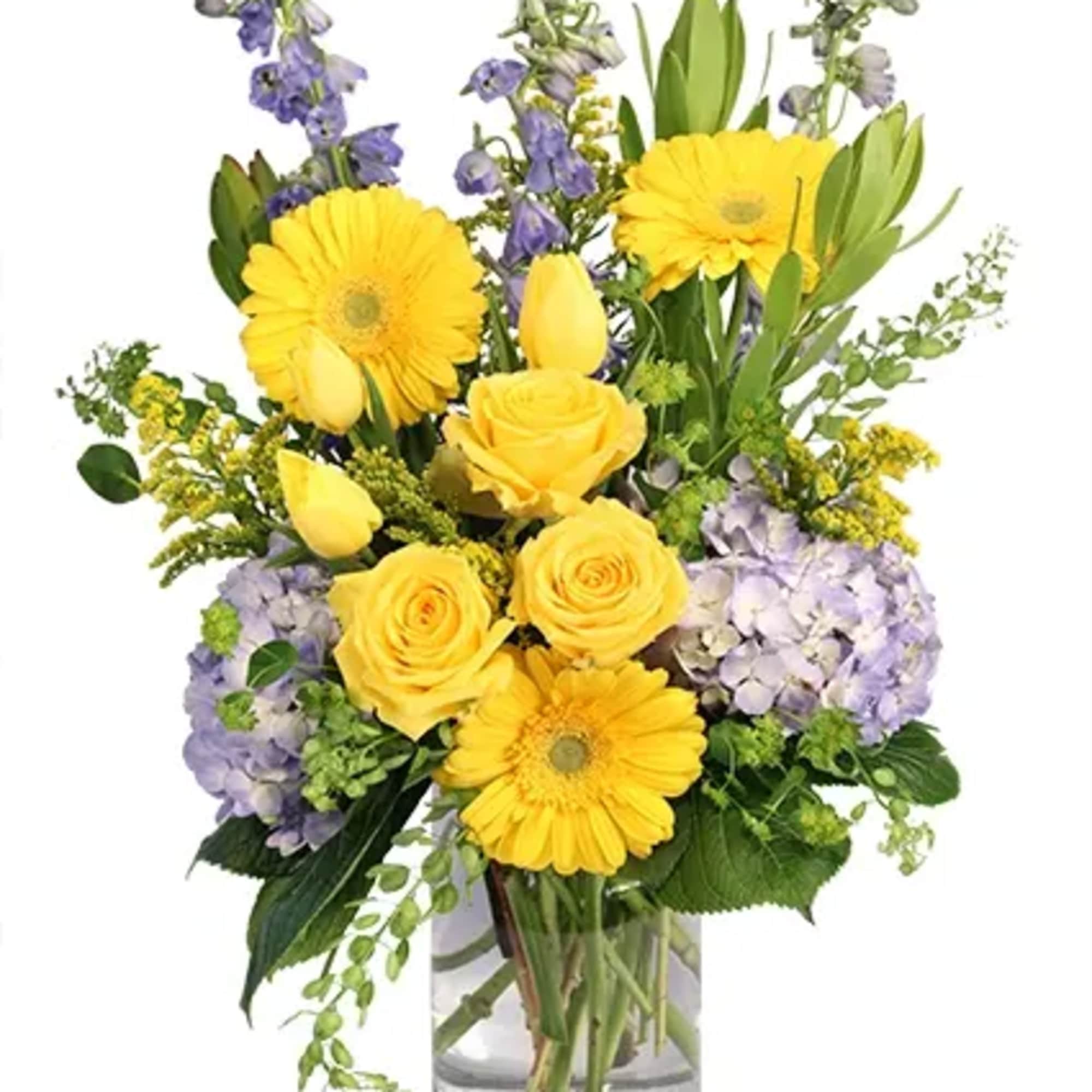 Spring is in the air, and hearts are full of promises. With