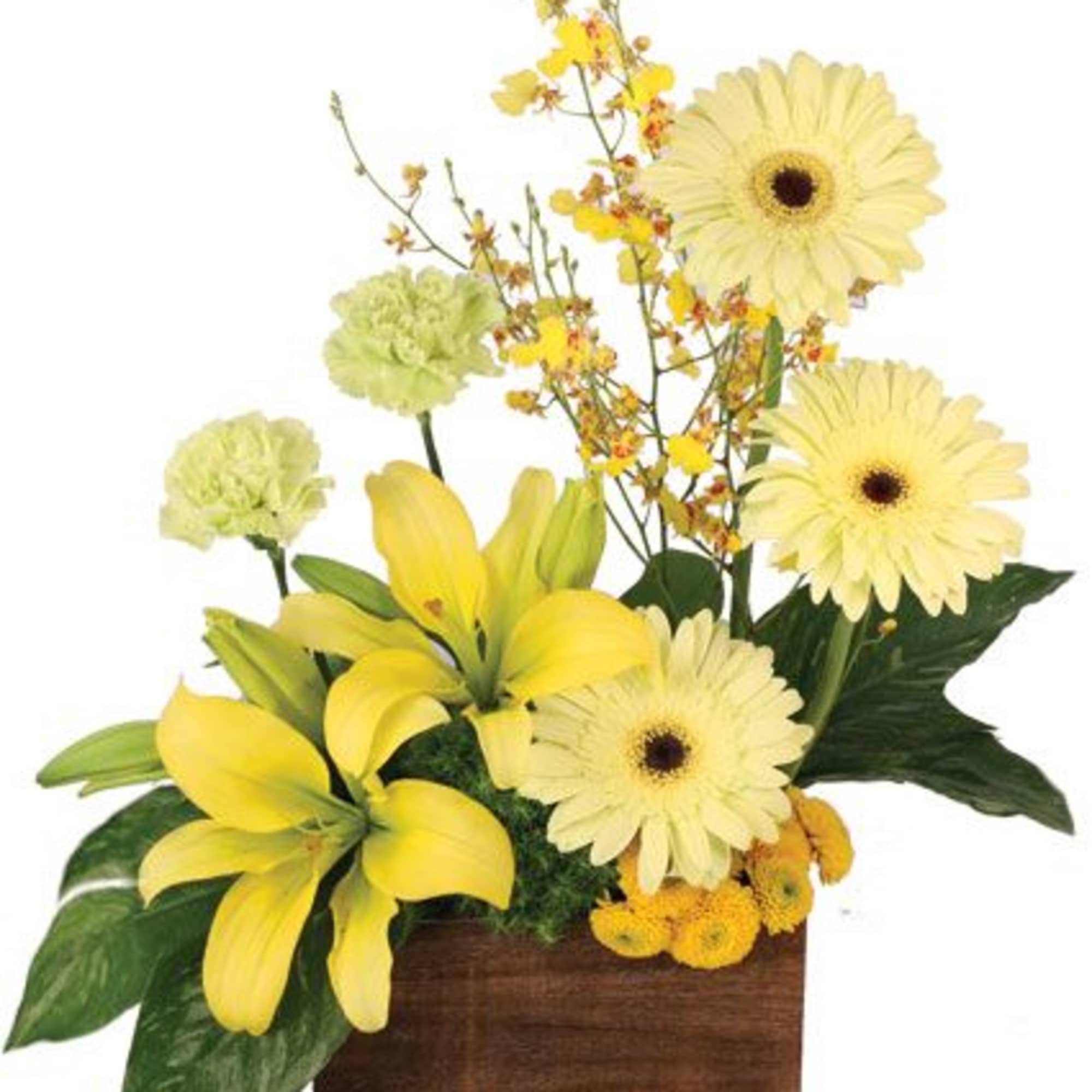 Bring the sunshine indoors with this spectacular bouquet! Featuring gorgeous yellow gerberas