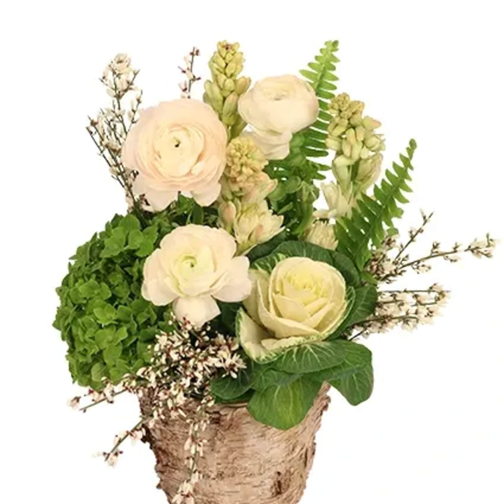 This soothing flower arrangement features a lush green hydrangea and pristine white