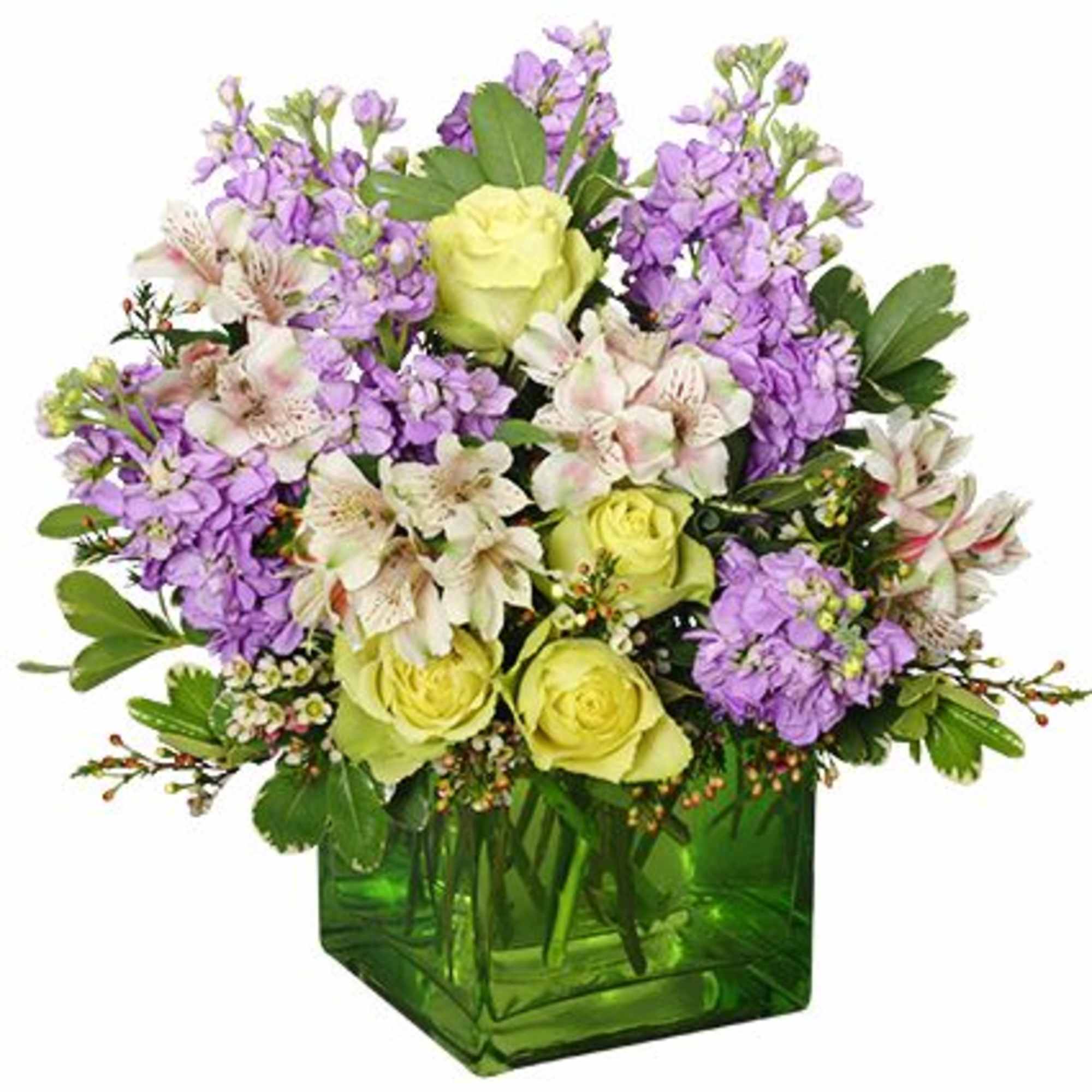 These gentle flowers add a touch of beauty to the room! The