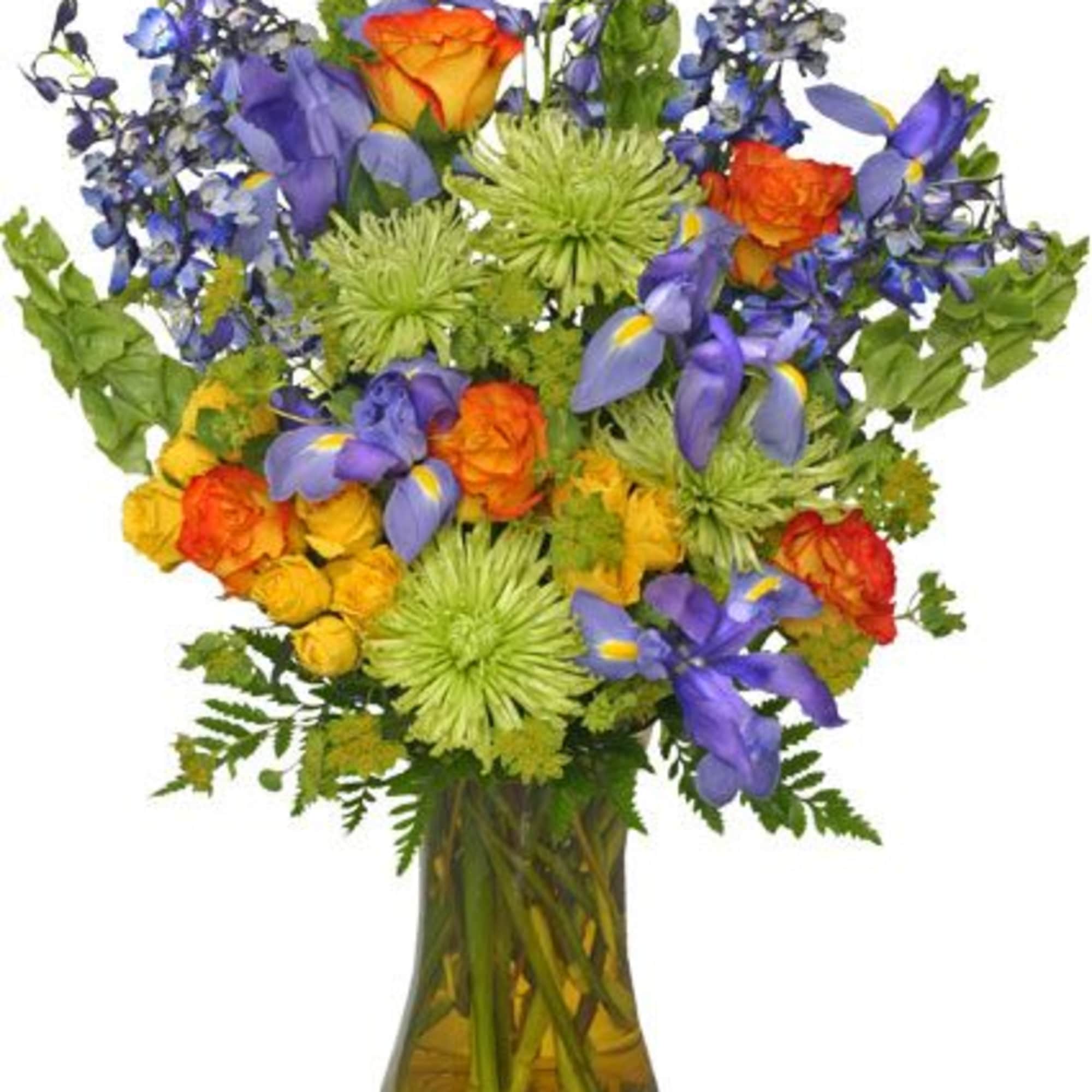 Lift their spirits and shake off the blues with a dose of