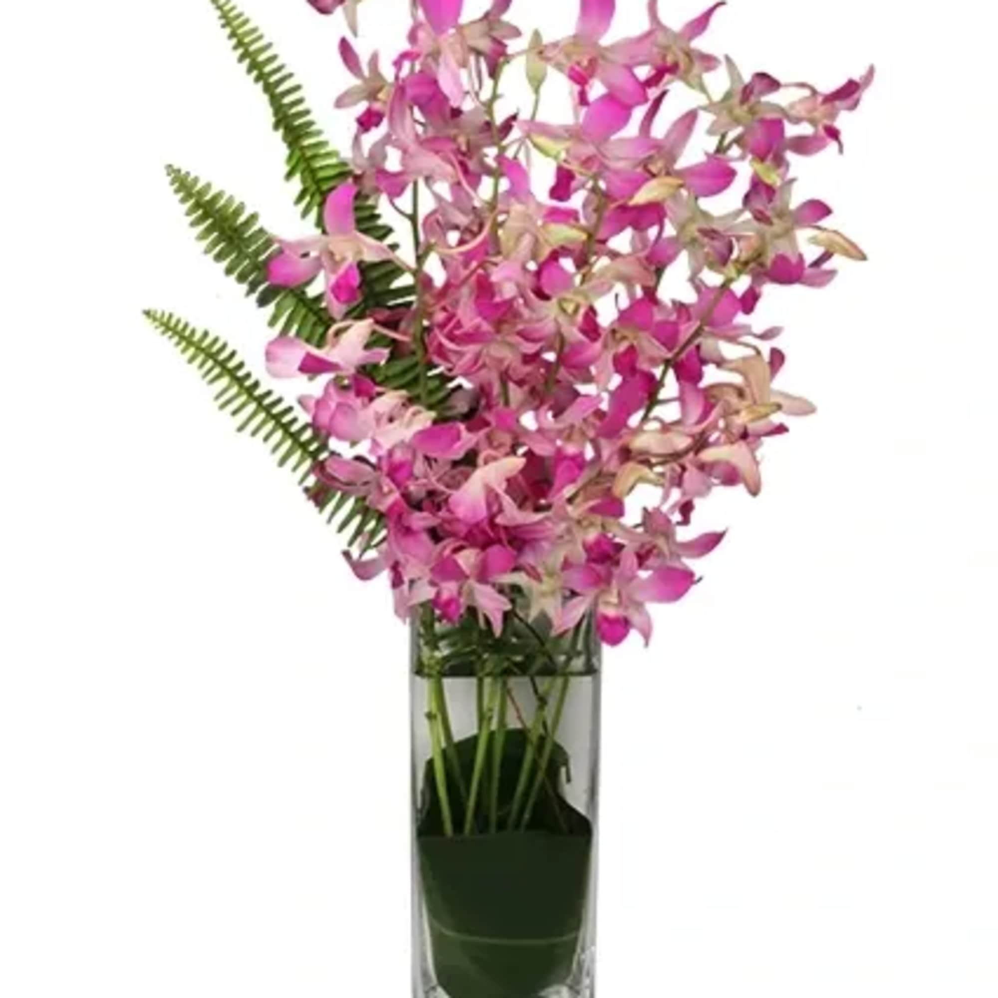 Tall Square Vase, Foliage: Ti Leaf, Lily Grass, Fern, Bicolored Lavender &amp;