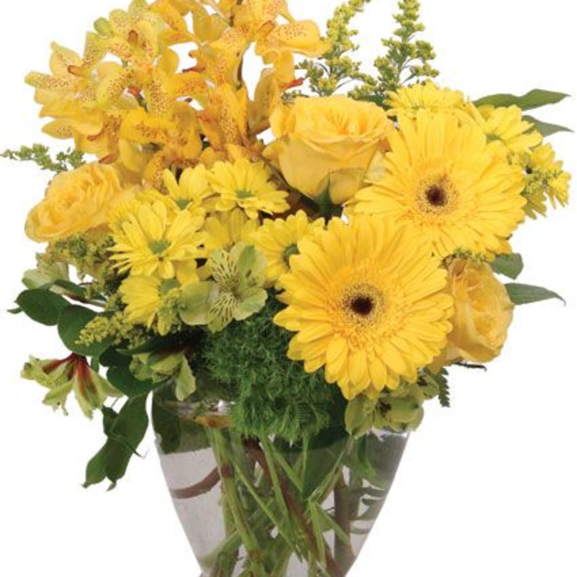 It doesn't get much more golden than this! This beautiful and bright
