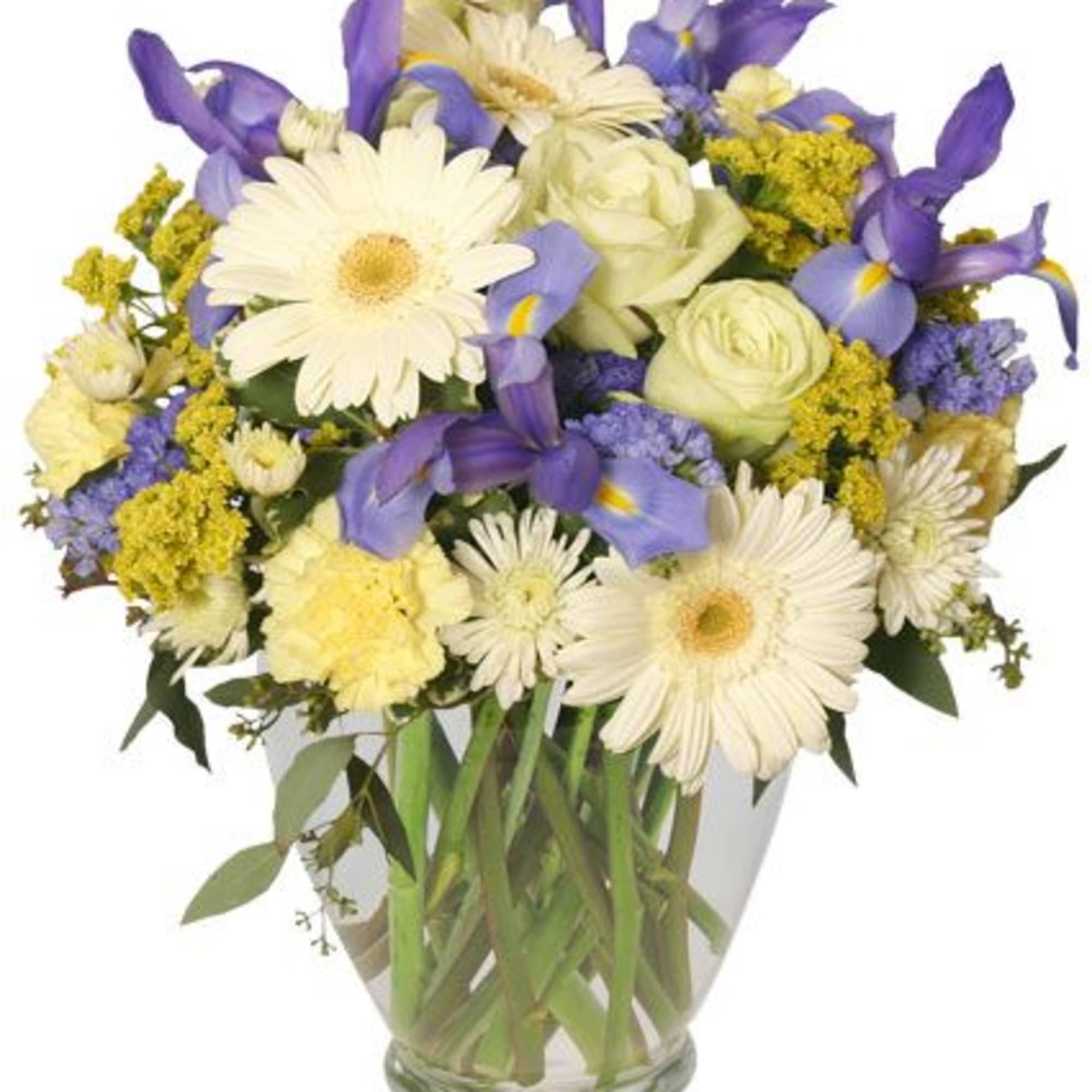 Send sweet salutations with this breathtaking bouquet! With gorgeous white gerberas, lovely