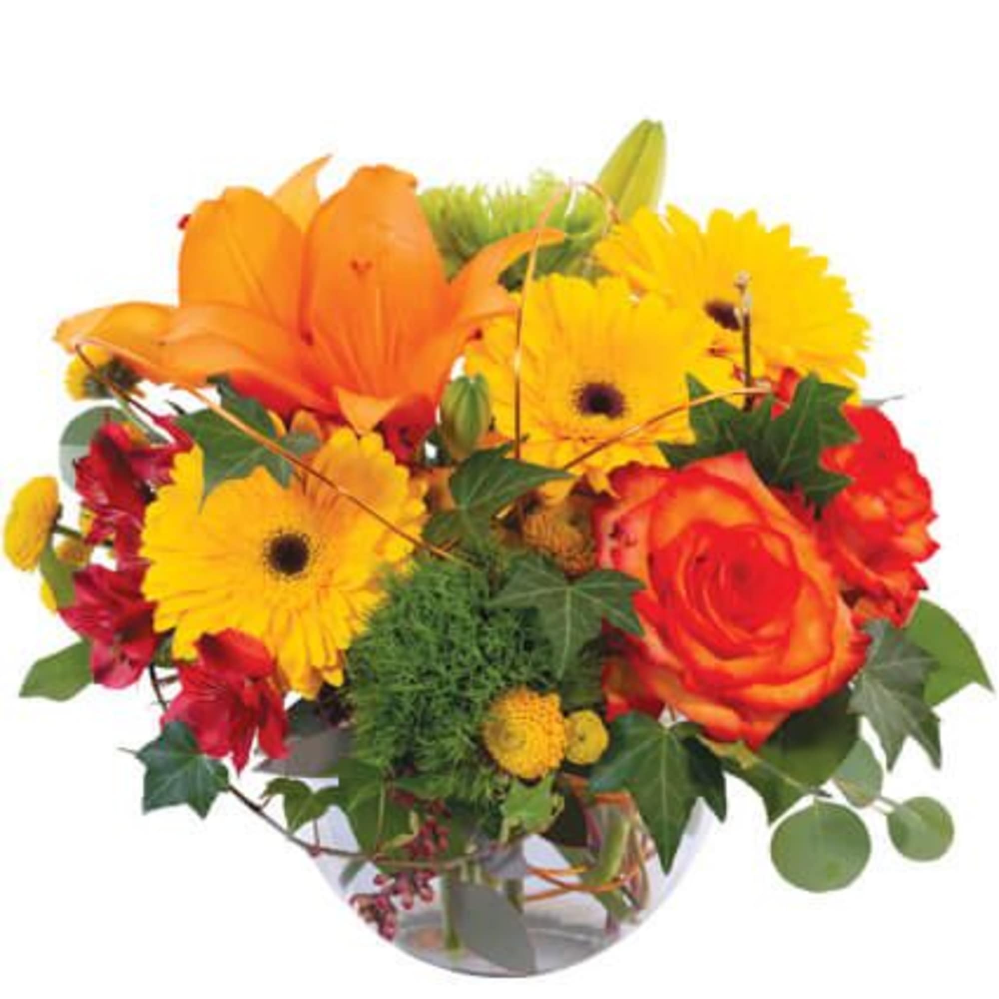 This wonderful arrangement is full of fall vibes! Featuring stunning orange roses