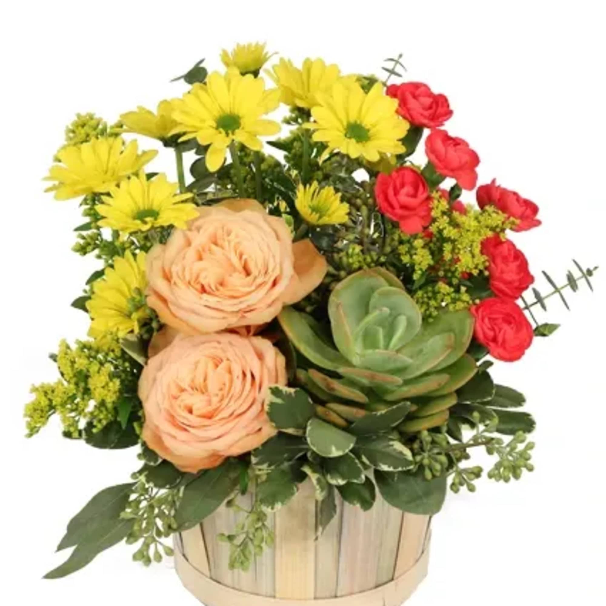 Bring a sense of calm and beauty with our Succulent Peach arrangement