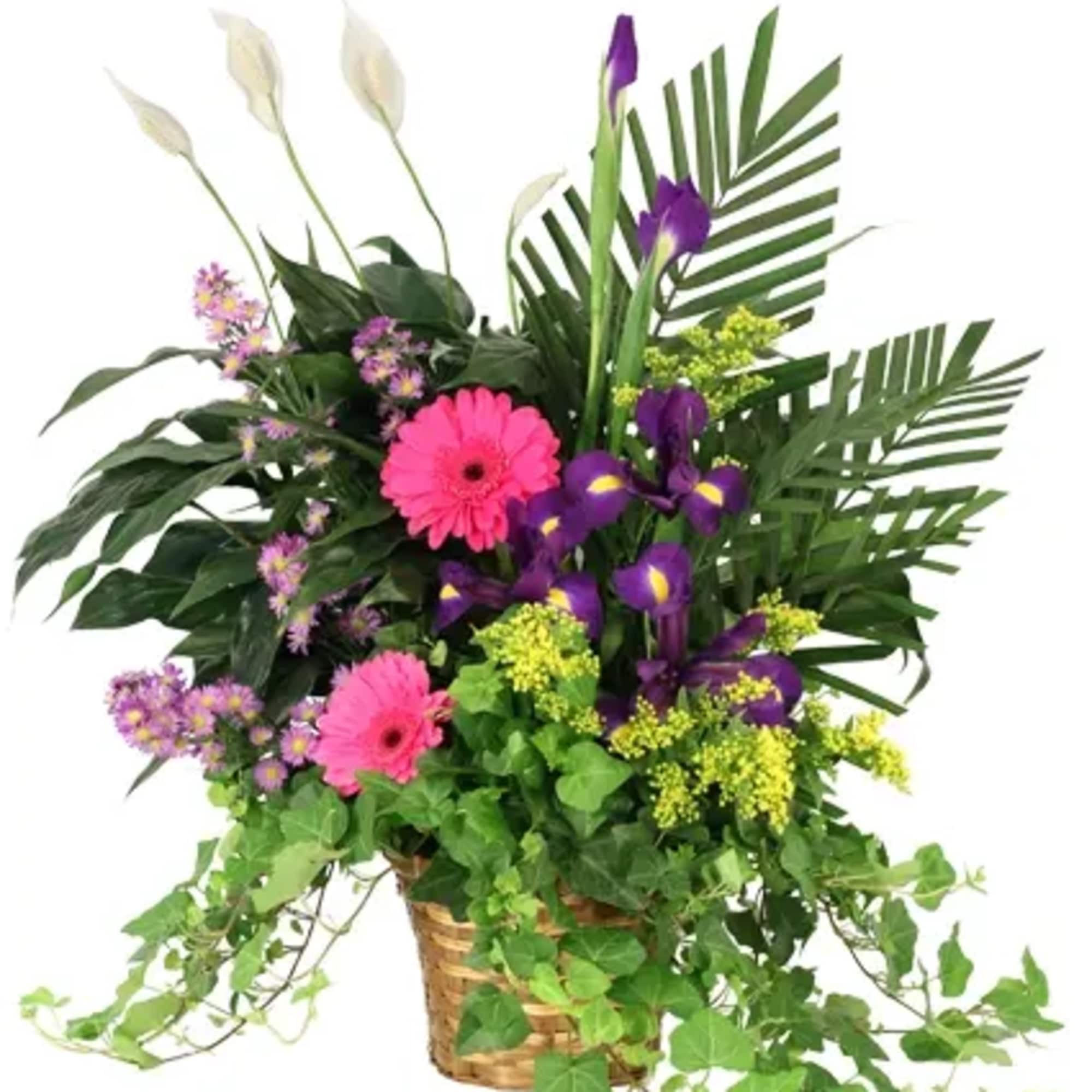 Whispers of Remembrance is a serene basket arrangement featuring delicate iris, vibrant