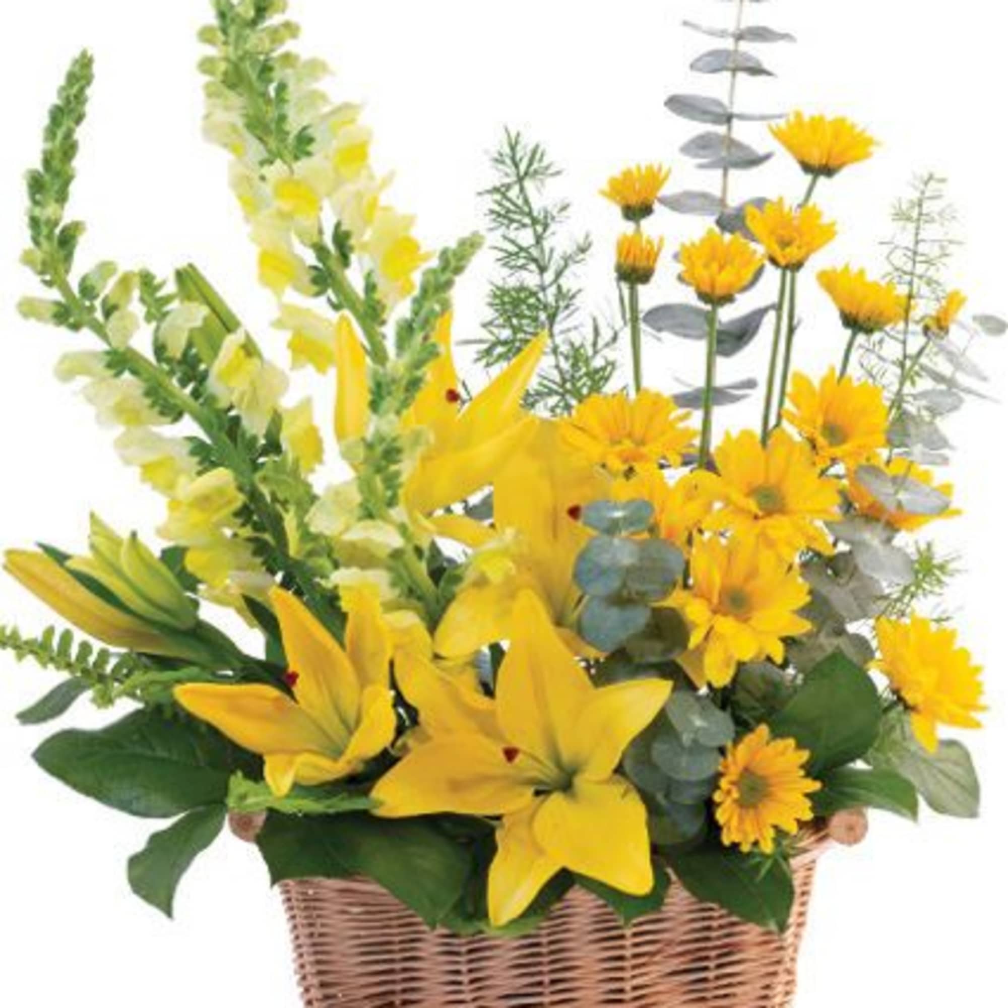 This beautiful basket is full of joy! Featuring gorgeous yellow snapdragons, lilies