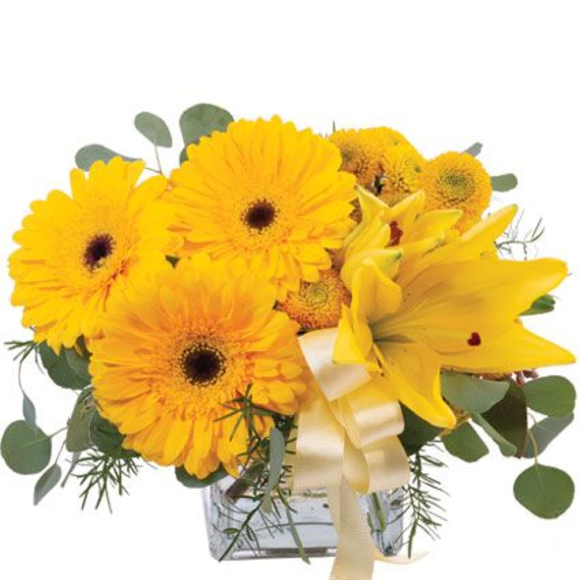 A delightful little arrangement, Petite Yellow packs an uplifting punch. Yellow gerberas
