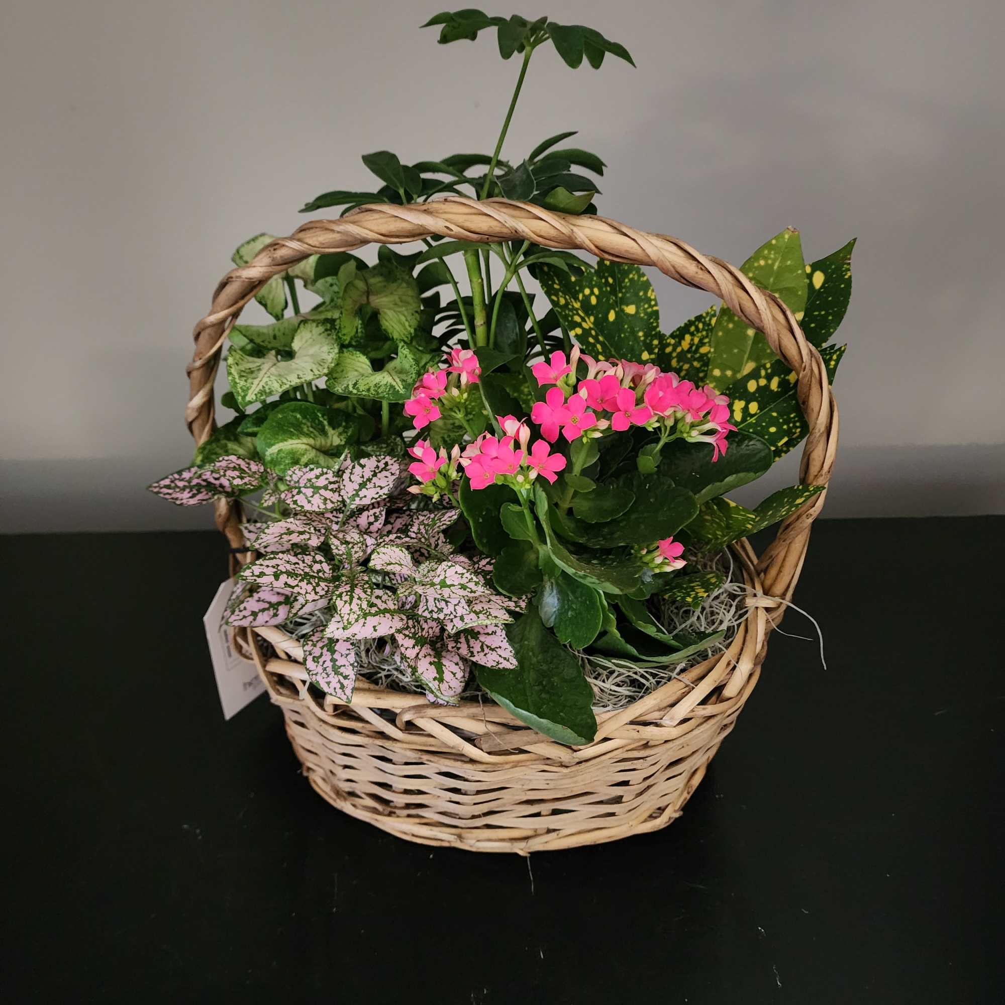 Mixed green plants with pink flowers arranged in a woven handled basket