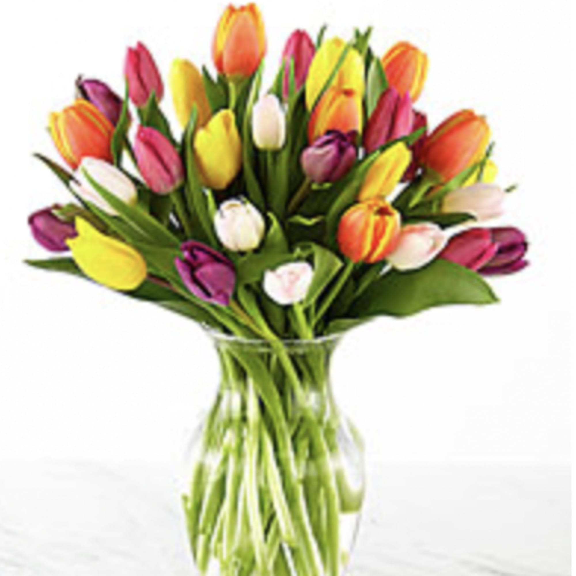 Colorful tulips arranged in a clear glass vase