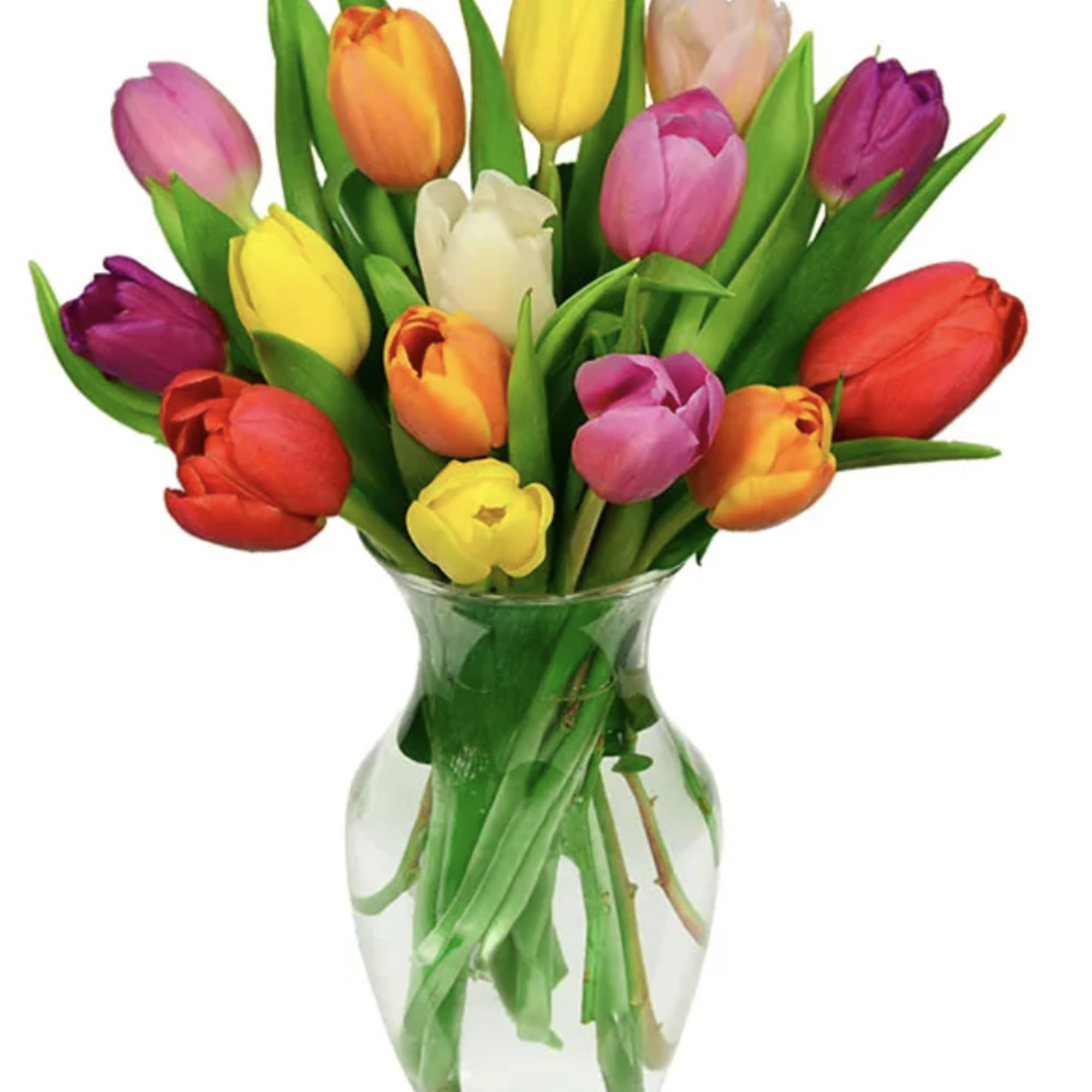 Colorful tulips arranged in a clear glass vase