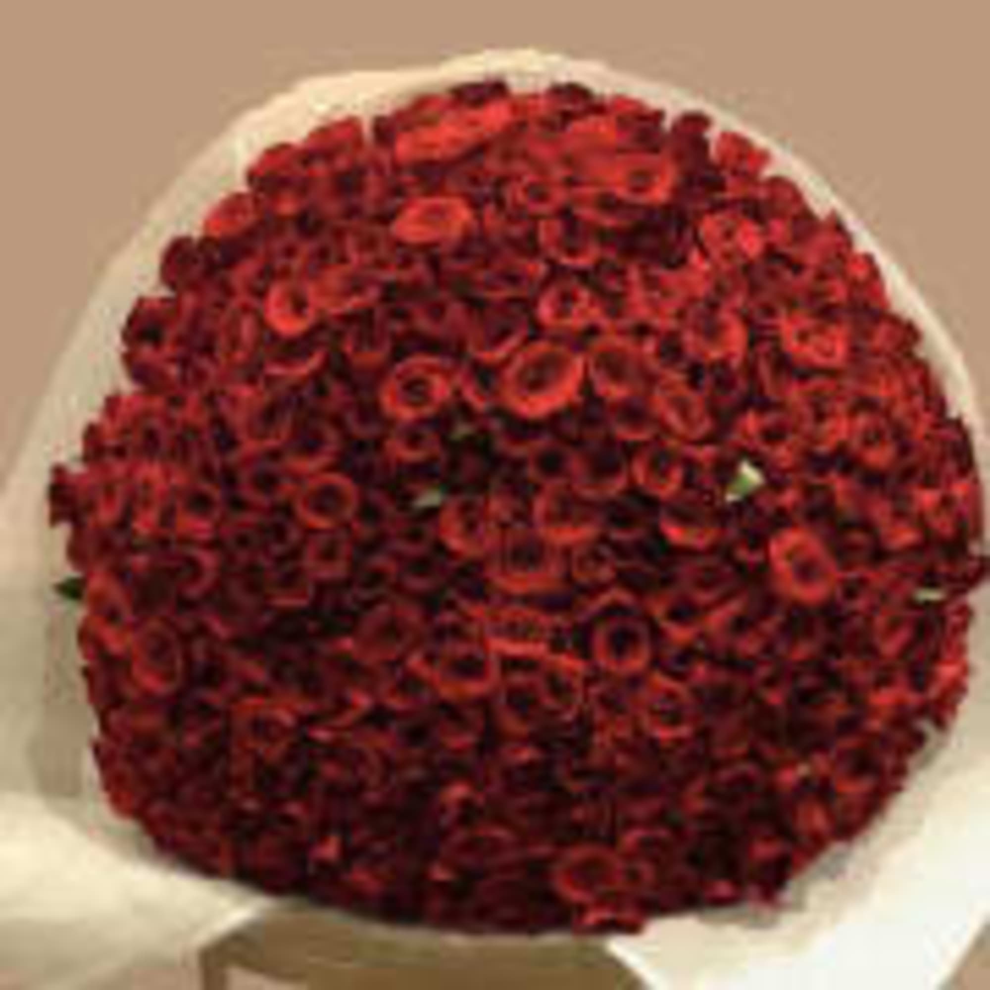 Round bouquet of tightly packed red roses