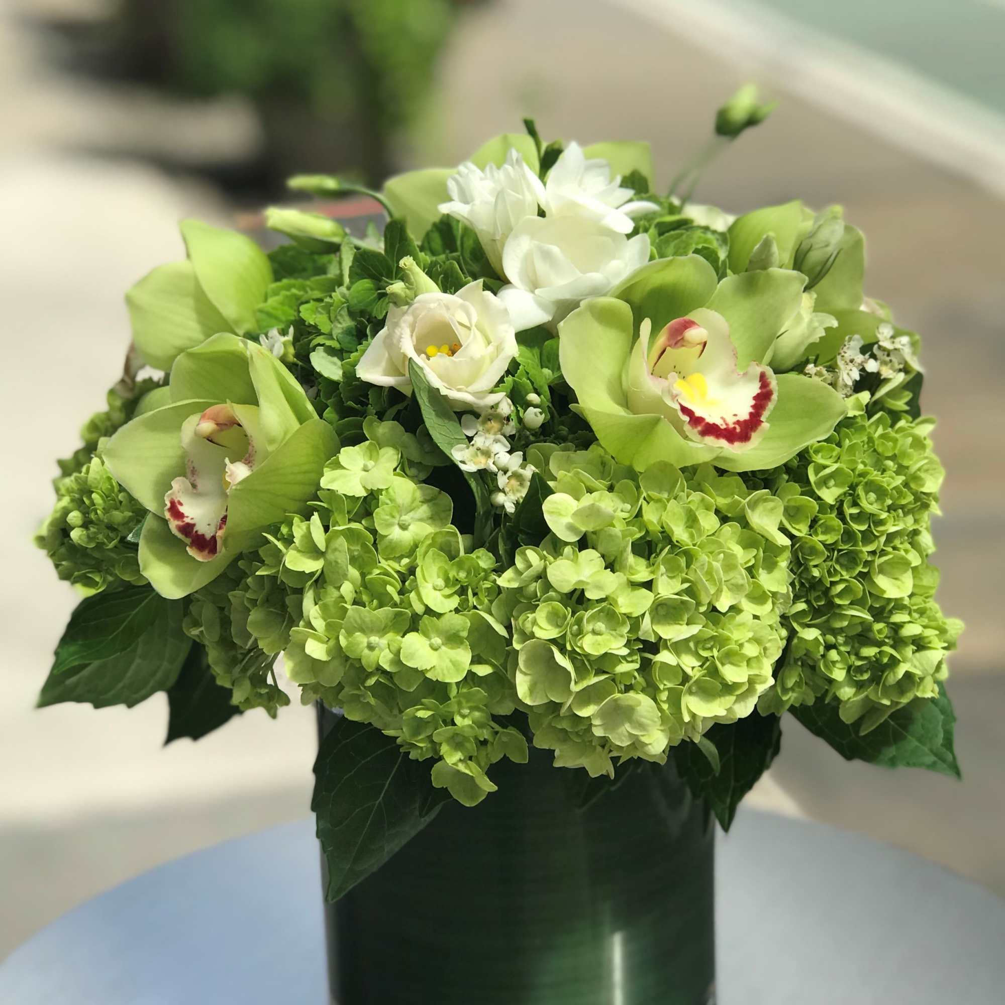 Bloom4007