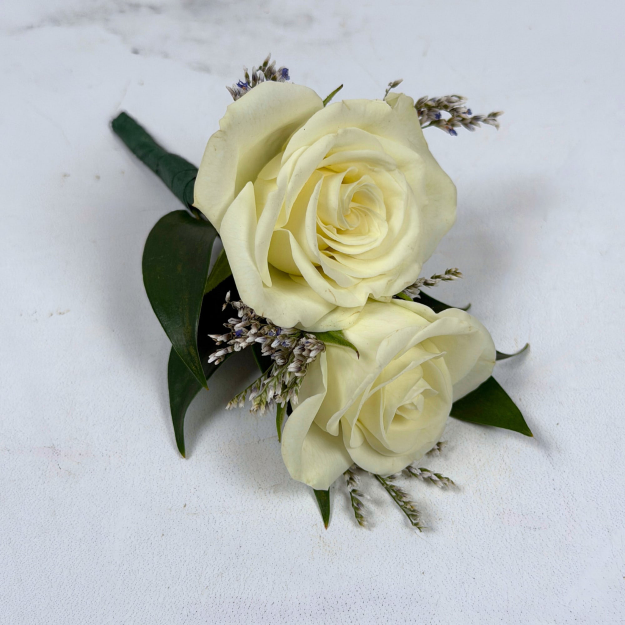 Two ivory-white spray roses are clustered tightly together in this white spray