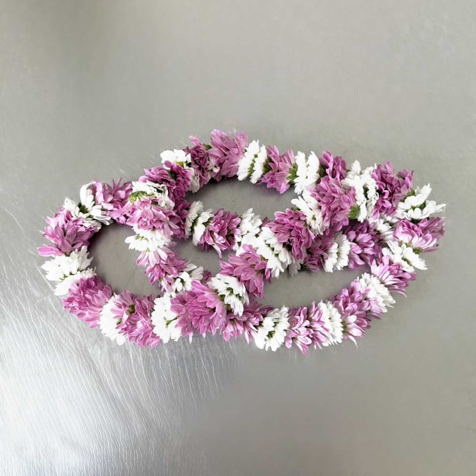 A full, rounded lei handcrafted with alternating sections of fresh white and