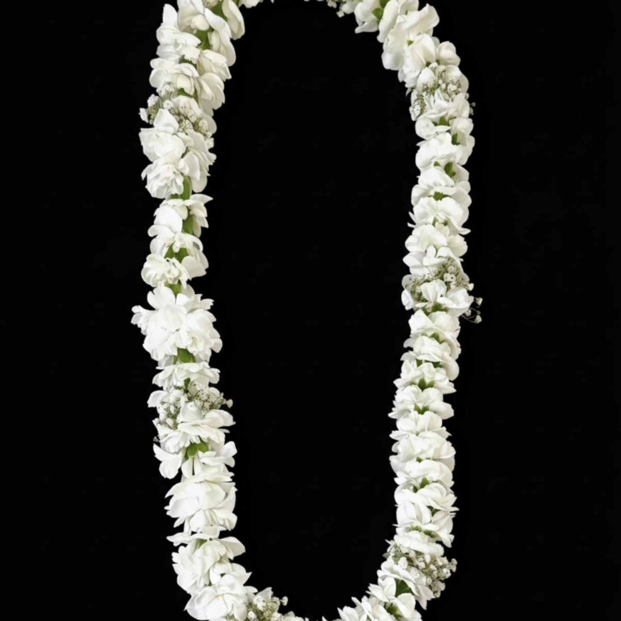 A full, rounded lei handcrafted with alternating sections of fresh white and