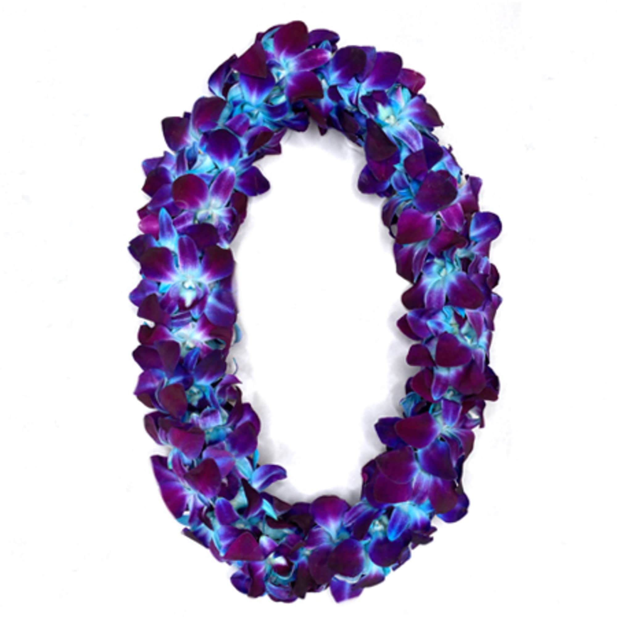 Purple and blue flower lei on a white background