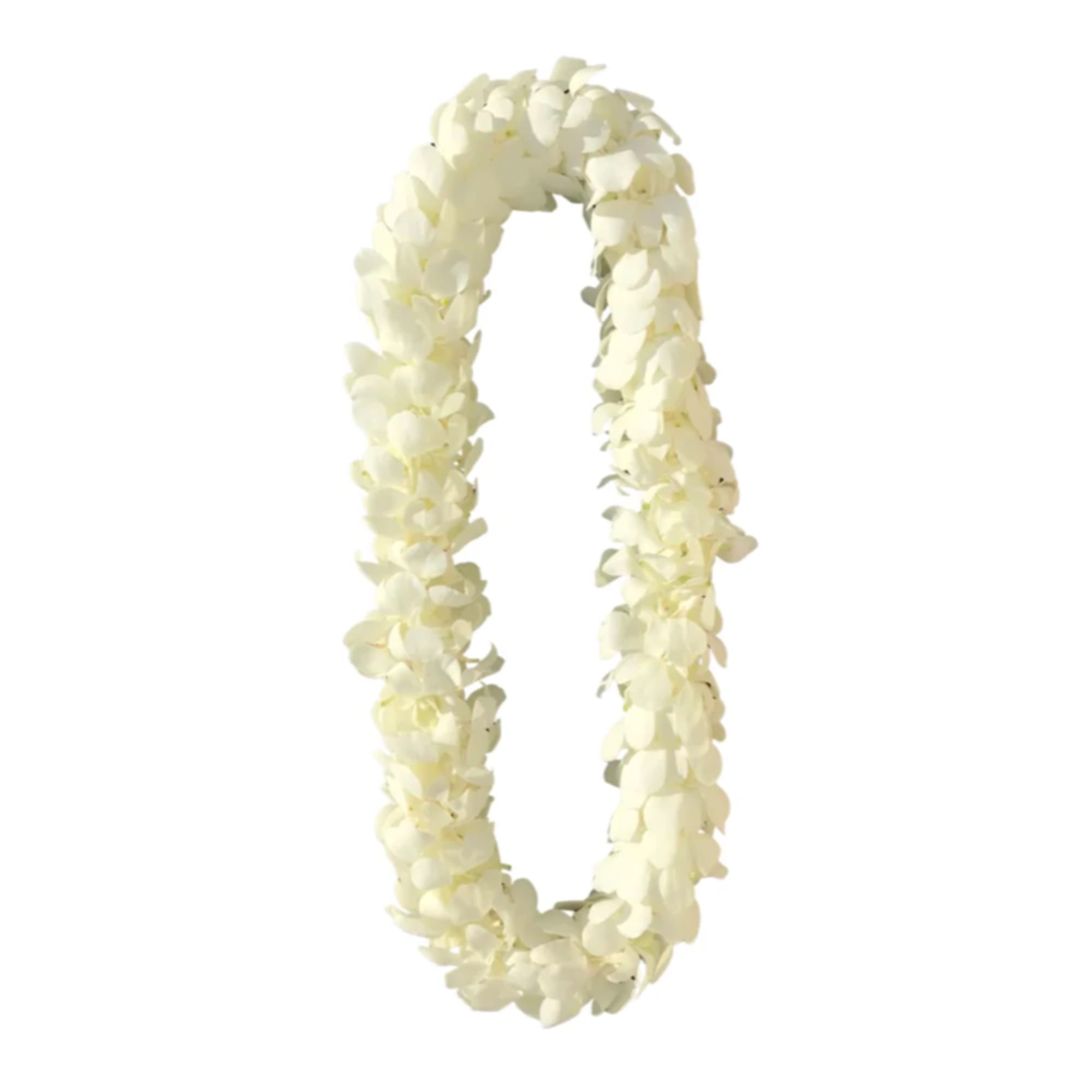White flower lei garland on a plain background