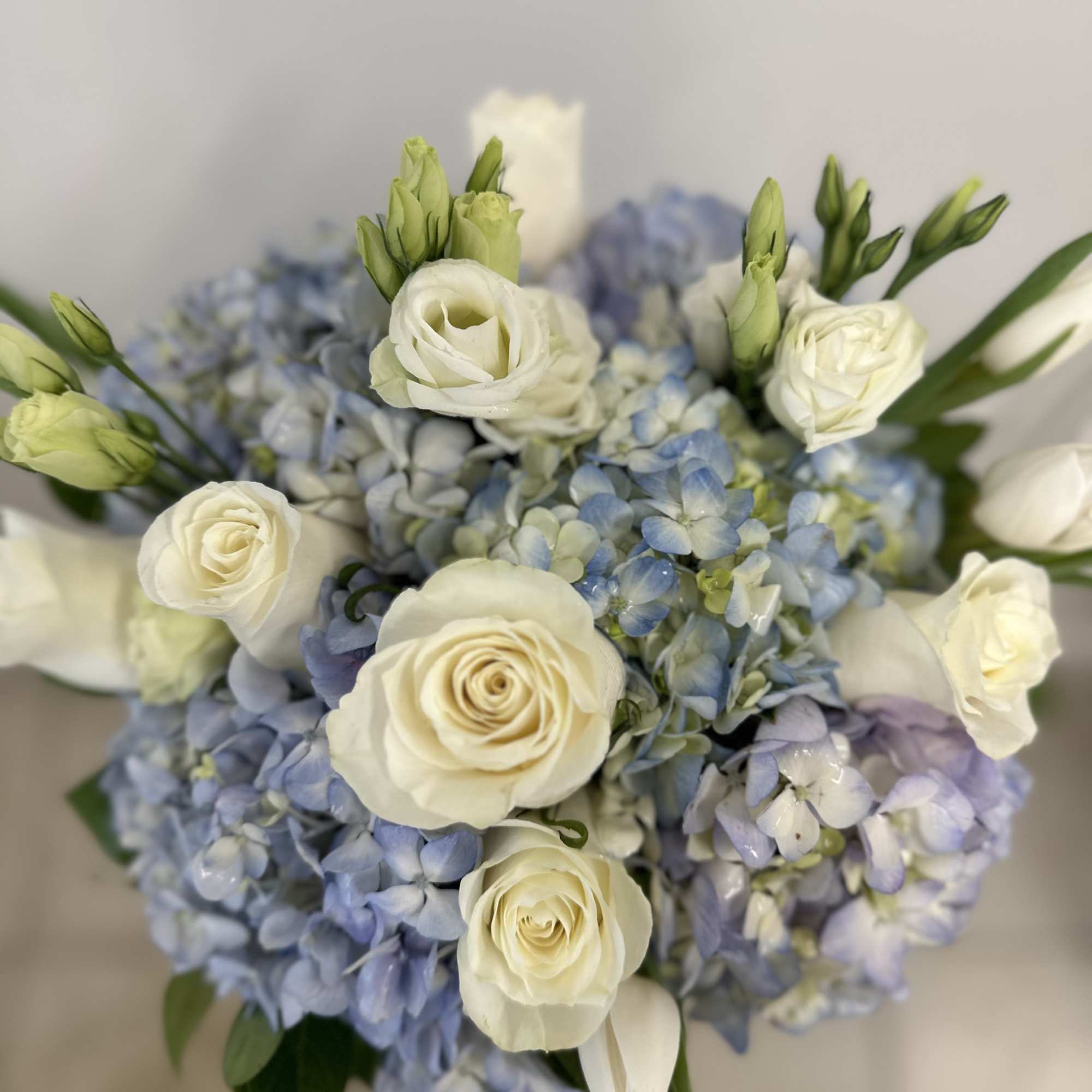Round arrangement of white roses and lisianthus nestled among light blue hydrangeas.
