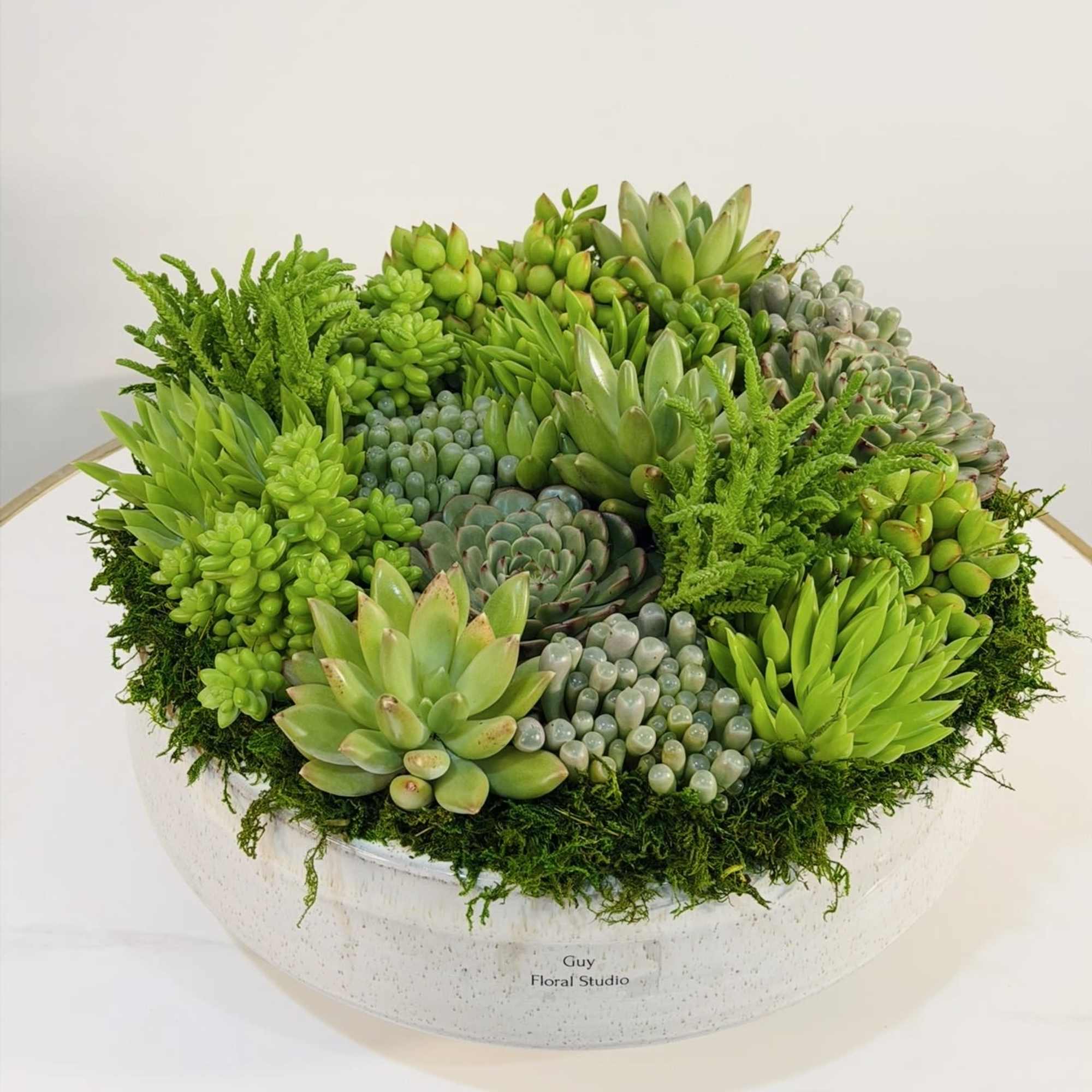 Elevate any space with this luxurious succulent garden bowl, exclusively designed by