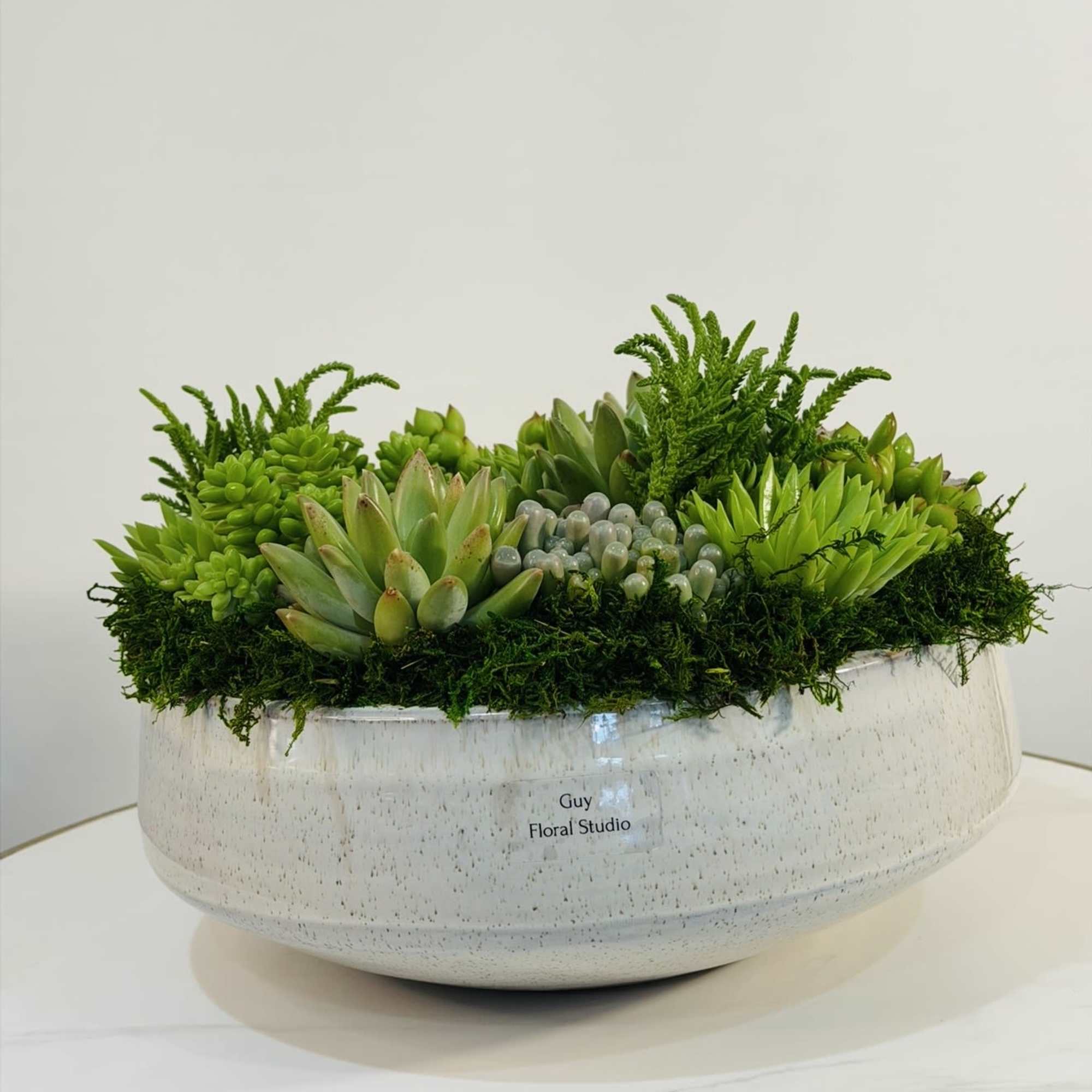 Elevate any space with this luxurious succulent garden bowl, exclusively designed by
