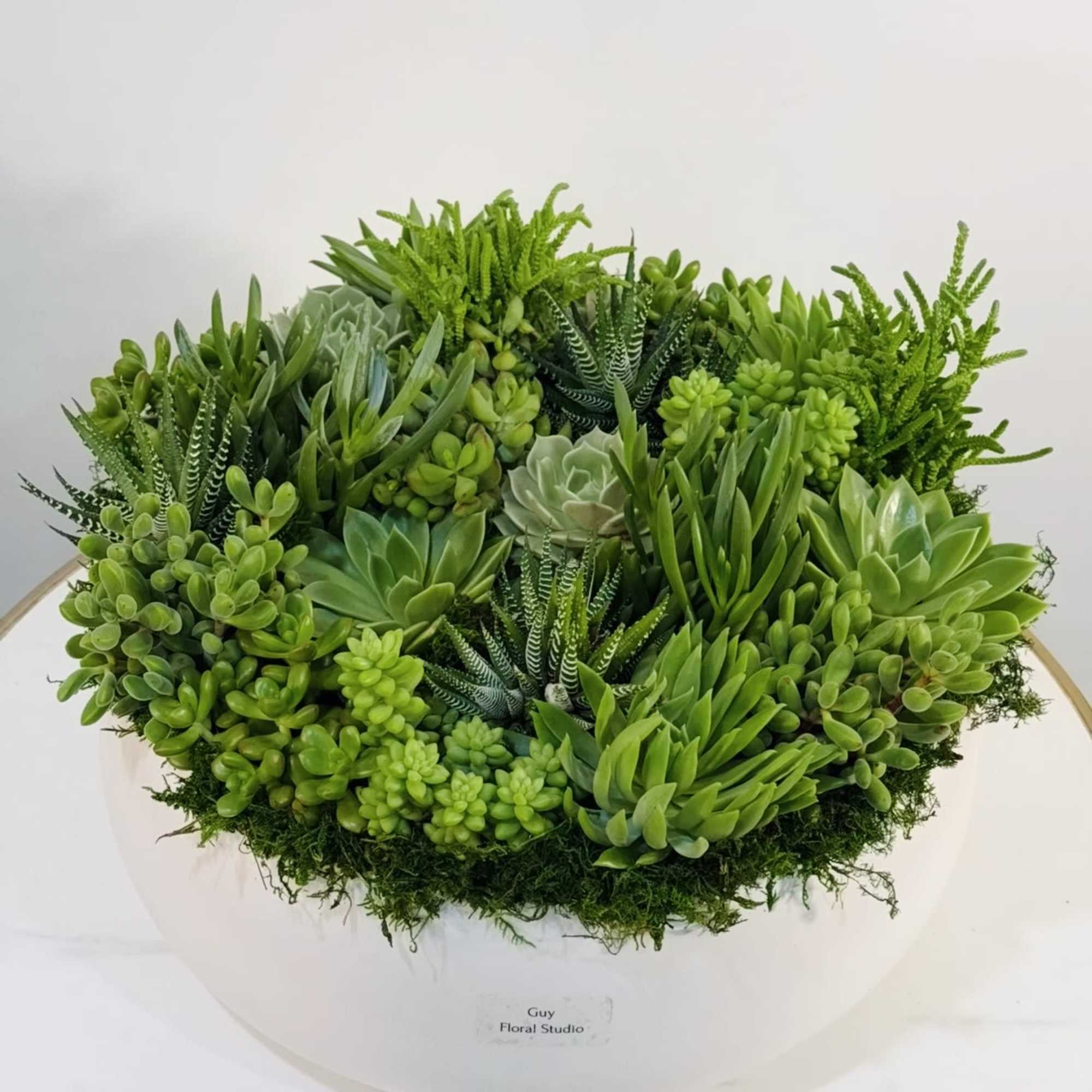 Experience the beauty of nature with this elegant green succulent bowl arrangement