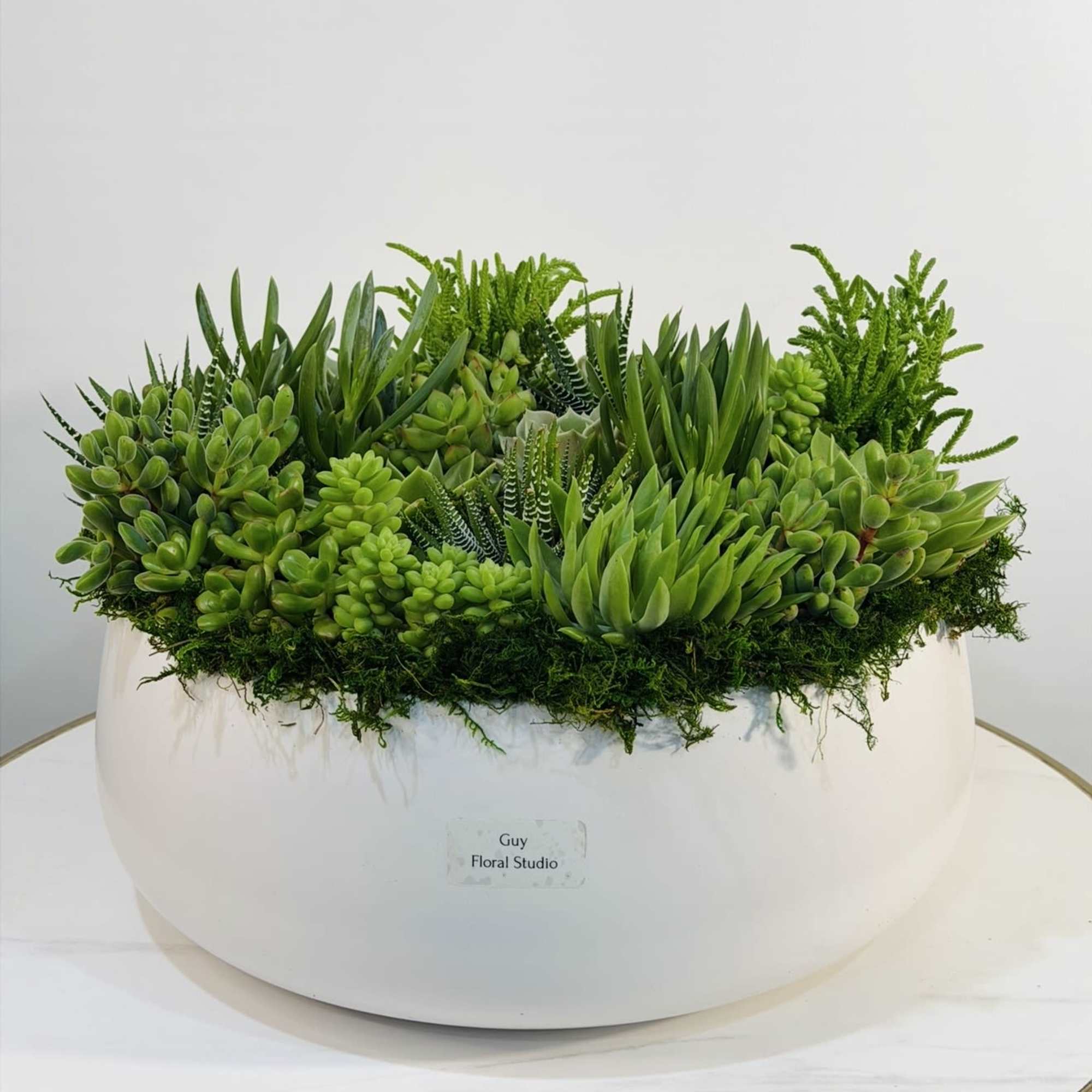 Experience the beauty of nature with this elegant green succulent bowl arrangement