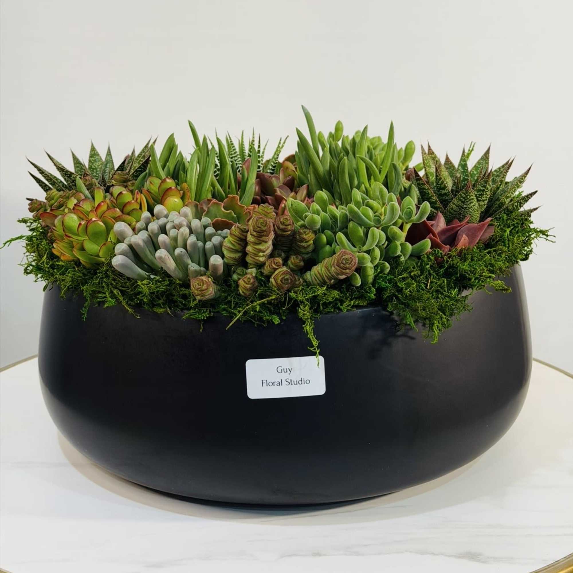 Make a statement with this premium succulent centerpiece, exclusively crafted by Guy