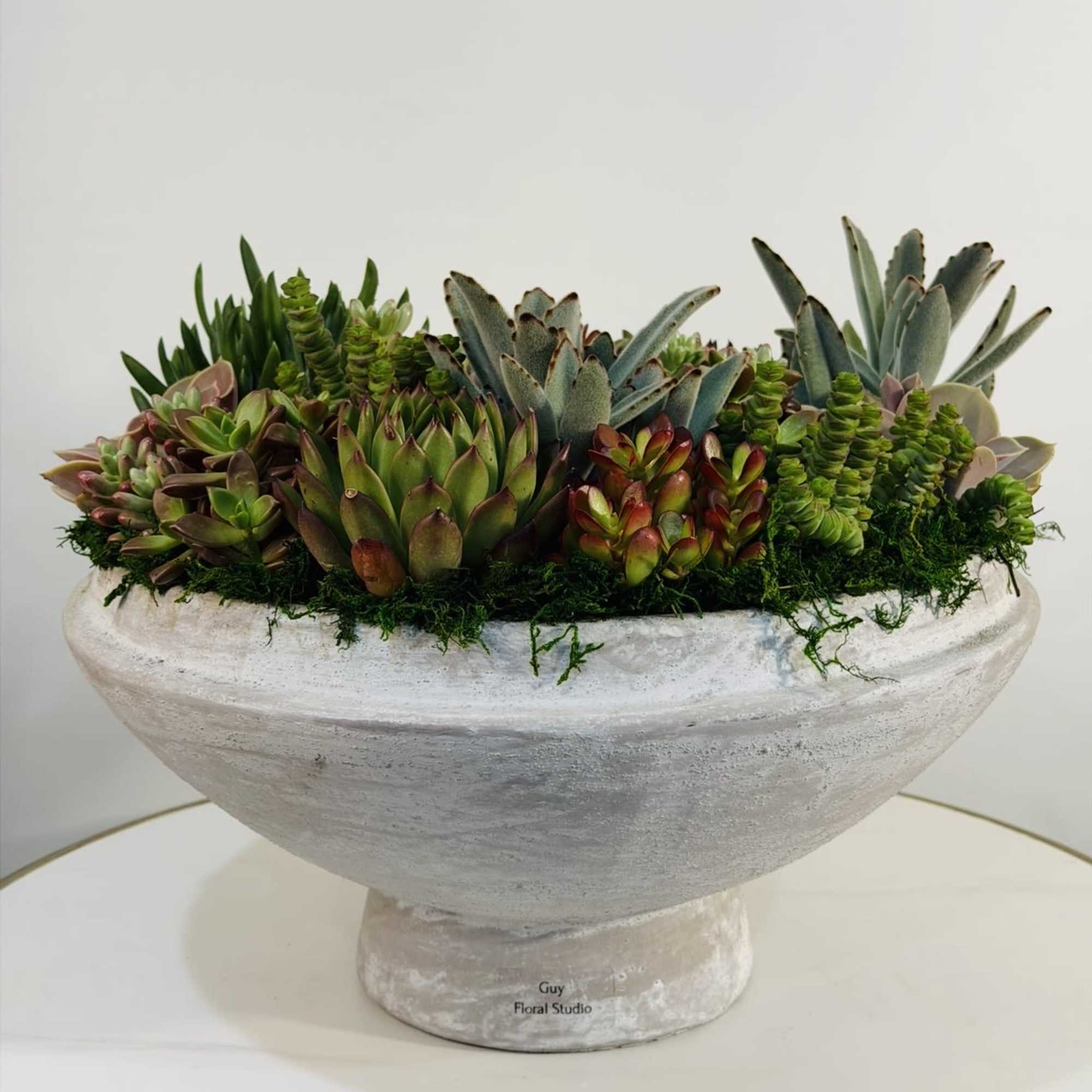 Add a refined and modern touch to any space with the Blush