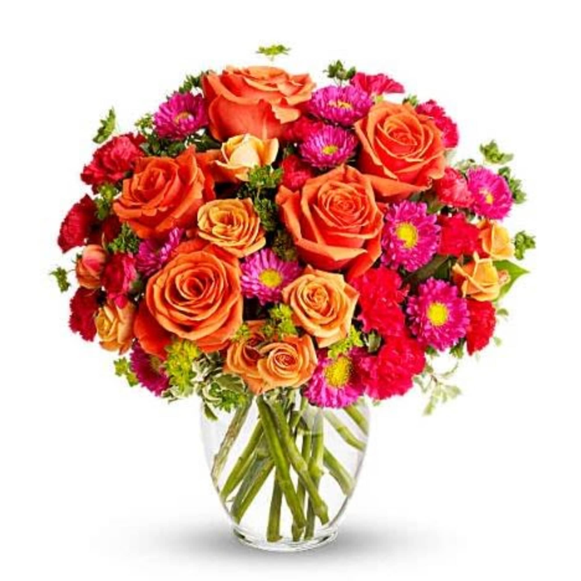 Pet&nbsp;Friendly?
NO . This arrangement contains Daisy&nbsp;Poms, which are a type of chrysanthemum.
According