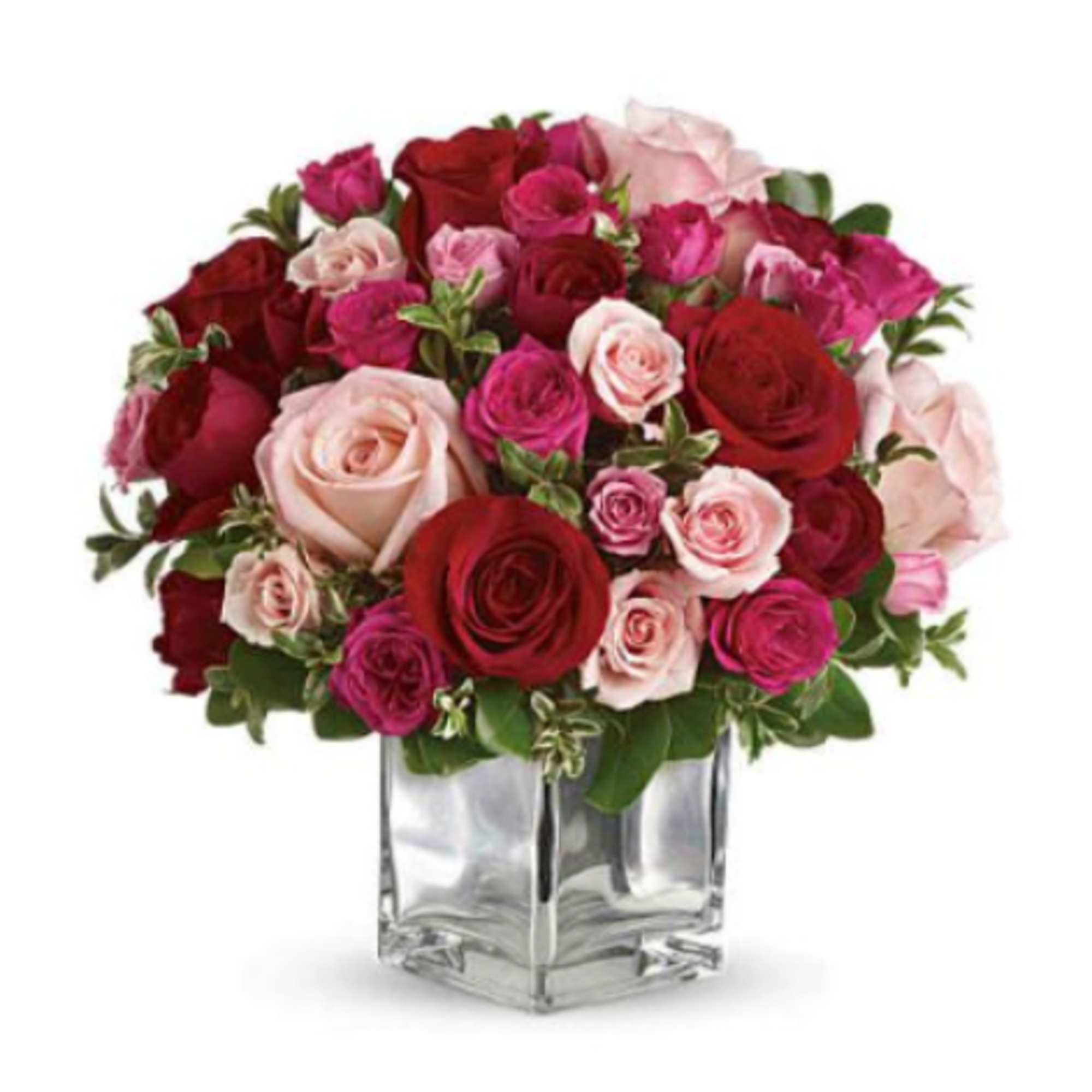 &nbsp;Pet&nbsp;Friendly?
Yes
Roses&nbsp;are&nbsp;generally&nbsp;considered&nbsp;non-toxic&nbsp;to&nbsp;cats&nbsp;and&nbsp;dogs.&nbsp;As&nbsp;a&nbsp;practical&nbsp;tip:&nbsp;keep&nbsp;any&nbsp;vase&nbsp;water&nbsp;out&nbsp;of&nbsp;reach&nbsp;to&nbsp;avoid&nbsp;curious&nbsp;pets&nbsp;drinking&nbsp;it.

&nbsp;Human&nbsp;Allergy&nbsp;Note
No&nbsp;major&nbsp;allergy-triggering&nbsp;flowers&nbsp;noted.&nbsp;Roses&nbsp;have&nbsp;low,&nbsp;heavy&nbsp;pollen&nbsp;and&nbsp;are&nbsp;rarely&nbsp;an&nbsp;issue&nbsp;for&nbsp;most&nbsp;people.

 Care &amp; Longevity
Trim&nbsp;stems&nbsp;at&nbsp;an&nbsp;angle&nbsp;and&nbsp;place&nbsp;in&nbsp;fresh,&nbsp;clean&nbsp;water&nbsp;with&nbsp;the&nbsp;provided&nbsp;flower&nbsp;food.&nbsp;Change&nbsp;water&nbsp;every&nbsp;2&nbsp;days,&nbsp;remove&nbsp;any&nbsp;leaves&nbsp;below&nbsp;the&nbsp;waterline,&nbsp;and&nbsp;keep&nbsp;away&nbsp;from&nbsp;direct&nbsp;sun,&nbsp;heat,&nbsp;and&nbsp;vents.&nbsp;Remove&nbsp;fading&nbsp;blooms&nbsp;as&nbsp;they&nbsp;go&nbsp;to&nbsp;keep&nbsp;the&nbsp;rest&nbsp;looking&nbsp;fresh.&nbsp;

 Best Occasions &amp; Situations
 Anniversary
 Birthday
 New baby
