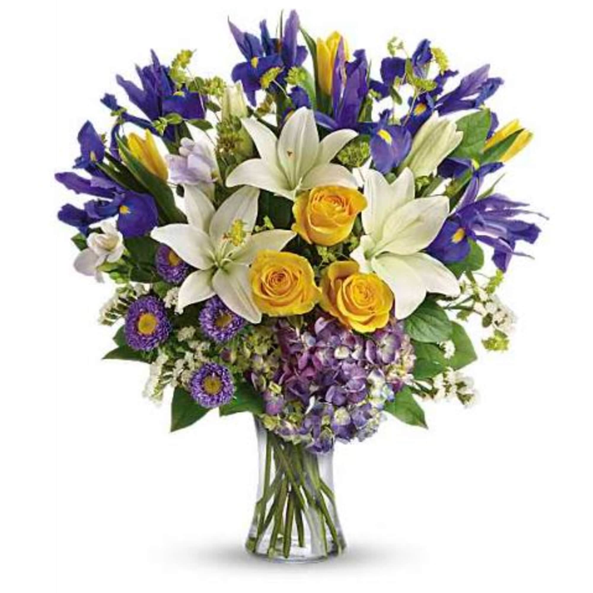 &nbsp;Pet&nbsp;Friendly?
No
This&nbsp;arrangement&nbsp;includes&nbsp;lilies,&nbsp;which&nbsp;are&nbsp;highly&nbsp;toxic&nbsp;to&nbsp;cats&nbsp;and&nbsp;can&nbsp;be&nbsp;harmful&nbsp;to&nbsp;dogs&nbsp;and&nbsp;other&nbsp;household&nbsp;pets&nbsp;according&nbsp;to&nbsp;the&nbsp;ASPCA.&nbsp;Keep&nbsp;out&nbsp;of&nbsp;reach&nbsp;and&nbsp;avoid&nbsp;homes&nbsp;with&nbsp;curious&nbsp;cats.

&nbsp;Human&nbsp;Allergy&nbsp;Note
Lilies&nbsp;and&nbsp;asters&nbsp;can&nbsp;be&nbsp;pollen-heavy&nbsp;and&nbsp;may&nbsp;trigger&nbsp;sensitivities.&nbsp;For&nbsp;lower&nbsp;pollen,&nbsp;ask&nbsp;us&nbsp;to&nbsp;remove&nbsp;lily&nbsp;anthers&nbsp;or&nbsp;place&nbsp;the&nbsp;arrangement&nbsp;in&nbsp;a&nbsp;well-ventilated&nbsp;area&nbsp;away&nbsp;from&nbsp;bedding&nbsp;and&nbsp;seating.

 Care &amp; Longevity
Trim&nbsp;1"&nbsp;off&nbsp;stems&nbsp;at&nbsp;an&nbsp;angle&nbsp;and&nbsp;place&nbsp;in&nbsp;fresh&nbsp;clean&nbsp;water&nbsp;with&nbsp;flower&nbsp;food.&nbsp;Change&nbsp;water&nbsp;every&nbsp;2&nbsp;days&nbsp;keep&nbsp;away&nbsp;from&nbsp;direct&nbsp;sun&nbsp;heat&nbsp;and&nbsp;vents&nbsp;and&nbsp;remove&nbsp;fading&nbsp;blooms&nbsp;to&nbsp;help&nbsp;the&nbsp;rest&nbsp;last&nbsp;longer.

&nbsp;Best&nbsp;Occasions&nbsp;&amp;&nbsp;Situations
&nbsp;Congrats&nbsp;&amp;&nbsp;promotions
&nbsp;Get&nbsp;well/comfort
&nbsp;Thinking&nbsp;of&nbsp;you
&nbsp;Birthday
&nbsp;Housewarming
&nbsp;Mother&rsquo;s&nbsp;day&nbsp;
&nbsp;Spring&nbsp;gatherings
&nbsp;Just&nbsp;because

&nbsp;Why&nbsp;Customers&nbsp;Love&nbsp;It
Bold&nbsp;color&nbsp;balance&nbsp;of&nbsp;yellow&nbsp;white&nbsp;and&nbsp;purple&nbsp;feels&nbsp;fresh&nbsp;and&nbsp;celebratory
Tall&nbsp;iris&nbsp;and&nbsp;lilies&nbsp;create&nbsp;instant&nbsp;height&nbsp;and&nbsp;presence
Gift-ready&nbsp;in&nbsp;a&nbsp;clear&nbsp;glass&nbsp;vase&nbsp;&mdash;&nbsp;no&nbsp;wrapping&nbsp;needed
Versatile&nbsp;for&nbsp;spring&nbsp;birthdays&nbsp;congrats&nbsp;or&nbsp;thank-you&nbsp;gifts
Hand-arranged&nbsp;for&nbsp;a&nbsp;natural&nbsp;garden&nbsp;look