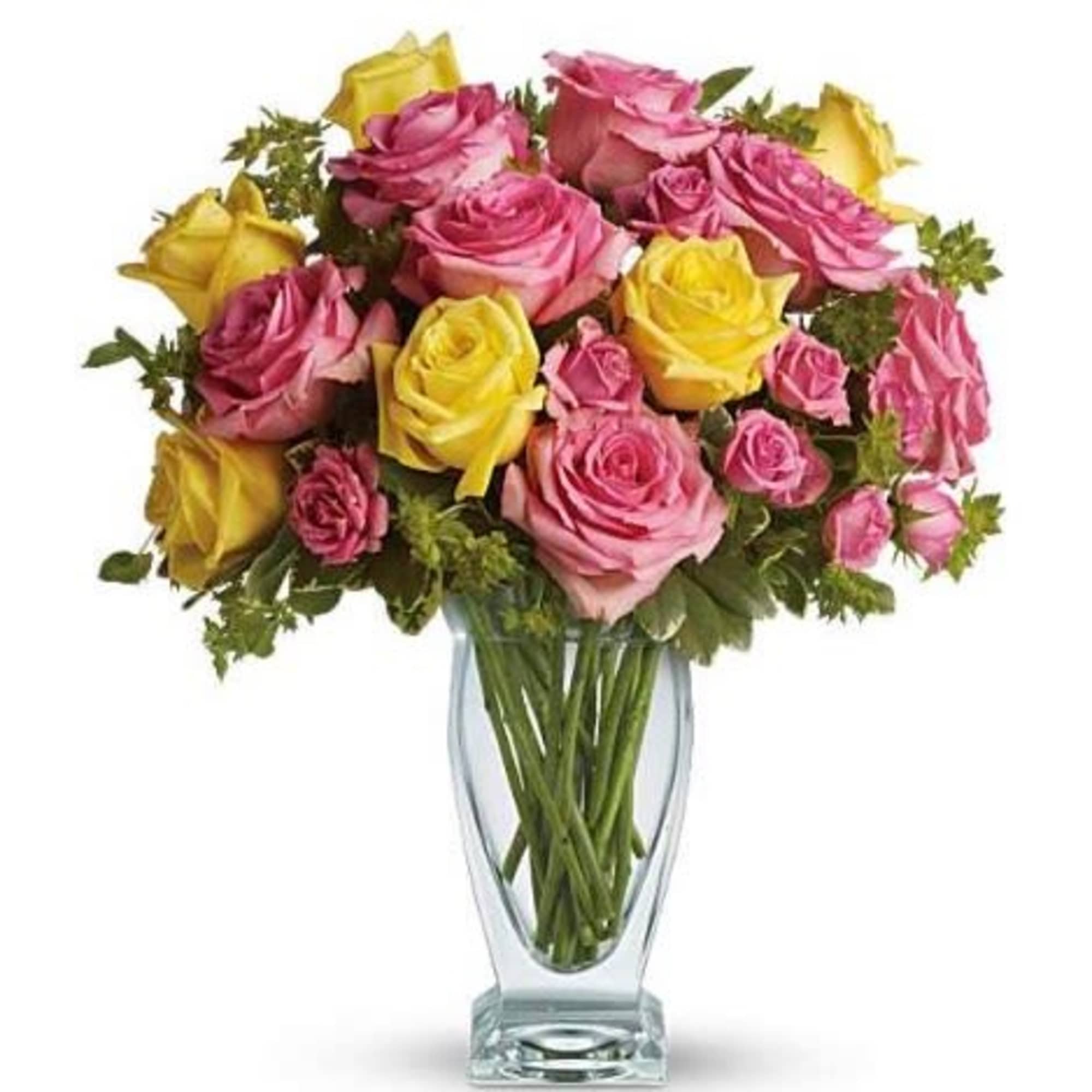  Pet Friendly?
YES . Roses are considered non-toxic to cats and dogs