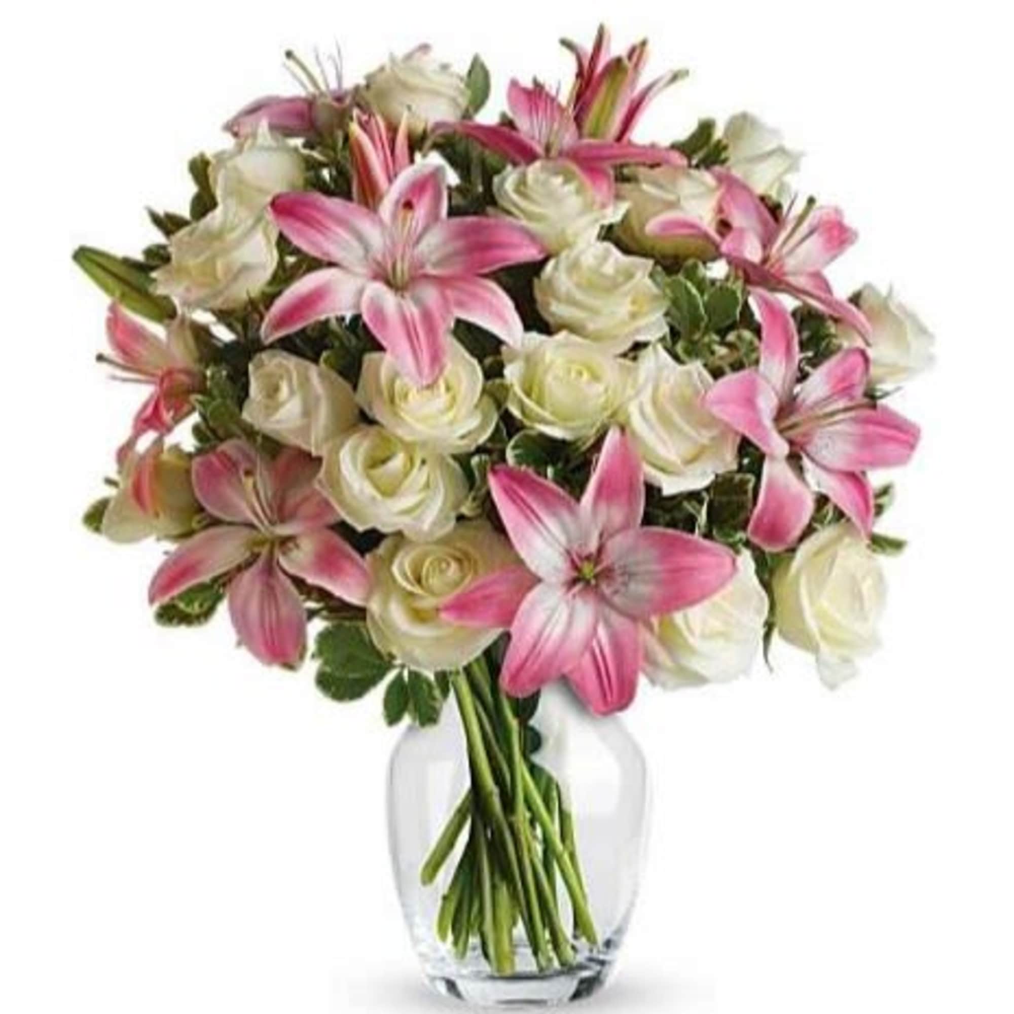  Pet Friendly?
No
Stargazer lilies are toxic to cats and can cause severe