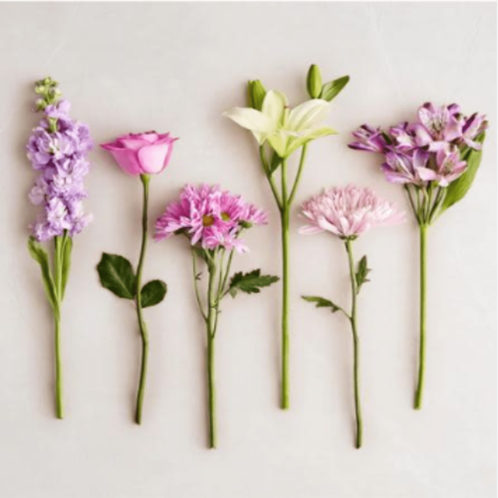  Pet Friendly?
No This arrangement contains Oriental Lilies, which are highly toxic
