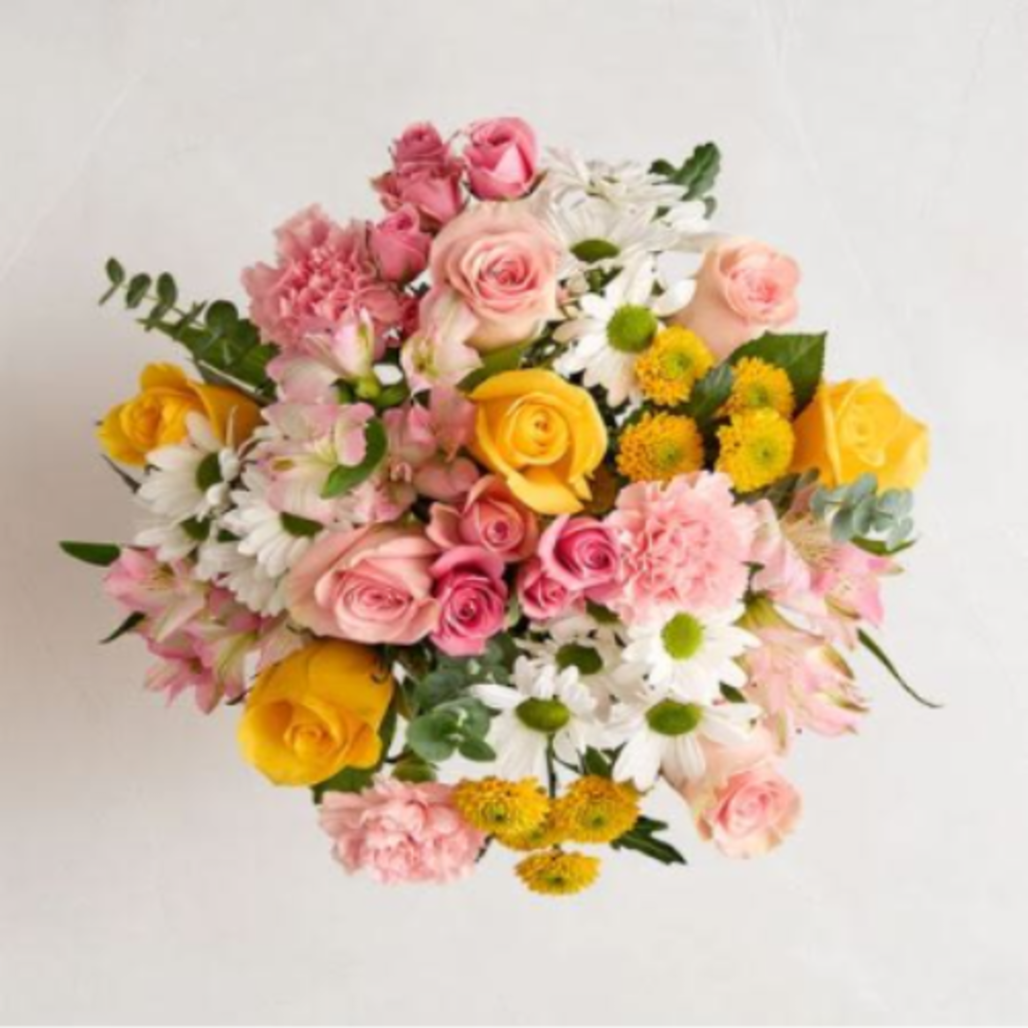 Pet Friendly?
No This arrangement contains Eucalyptus, Chrysanthemums (Daisies/Poms), and Carnations, which