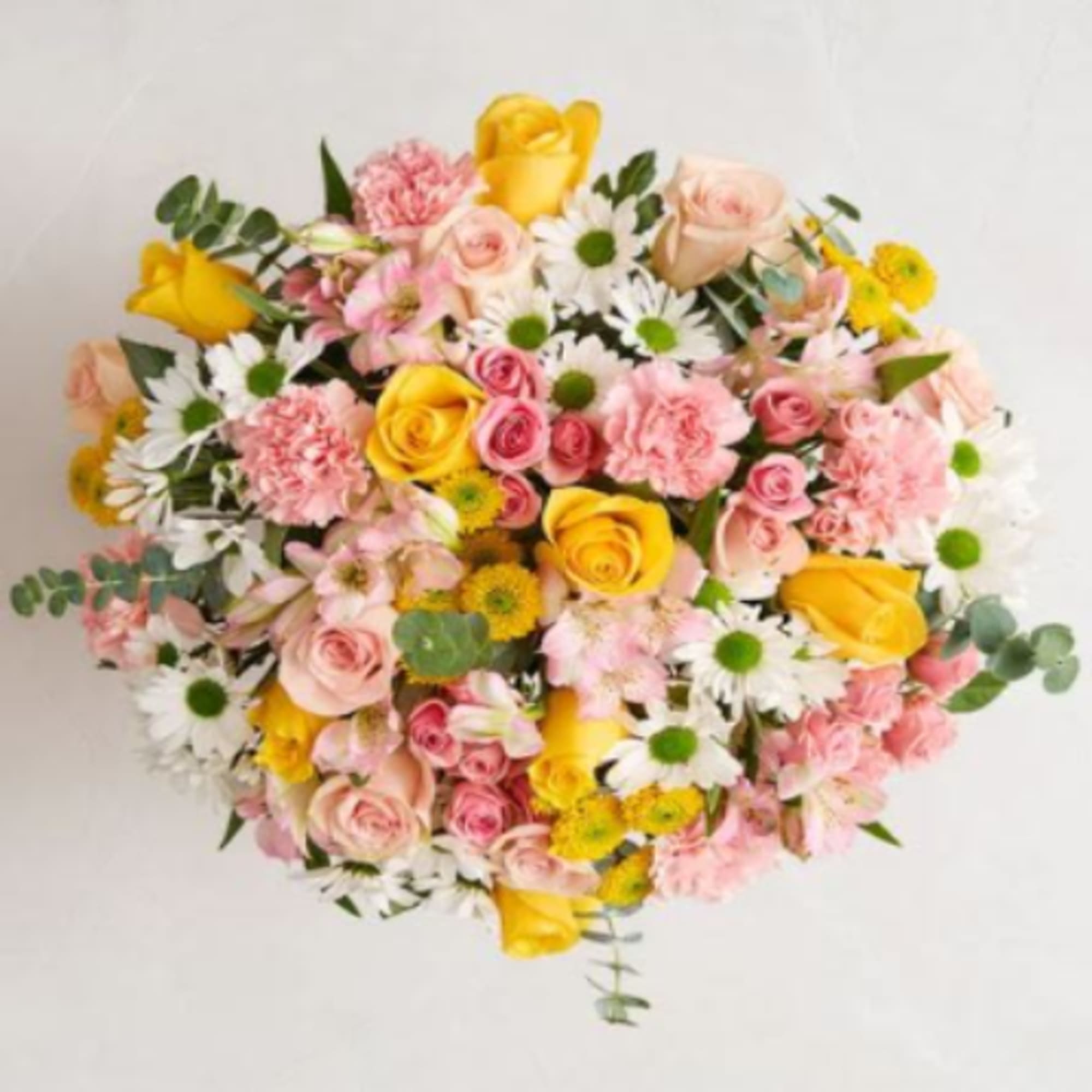 Pet Friendly?
No This arrangement contains Eucalyptus, Chrysanthemums (Daisies/Poms), and Carnations, which