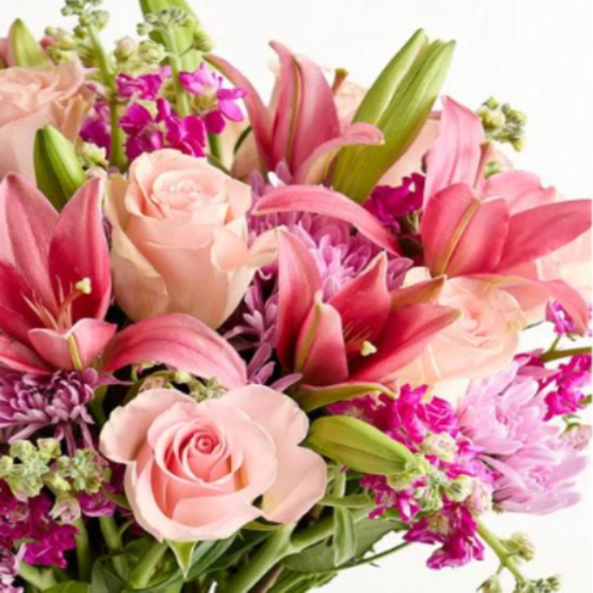  Pet Friendly?
No . This arrangement contains Lilies and Chrysanthemums, both of