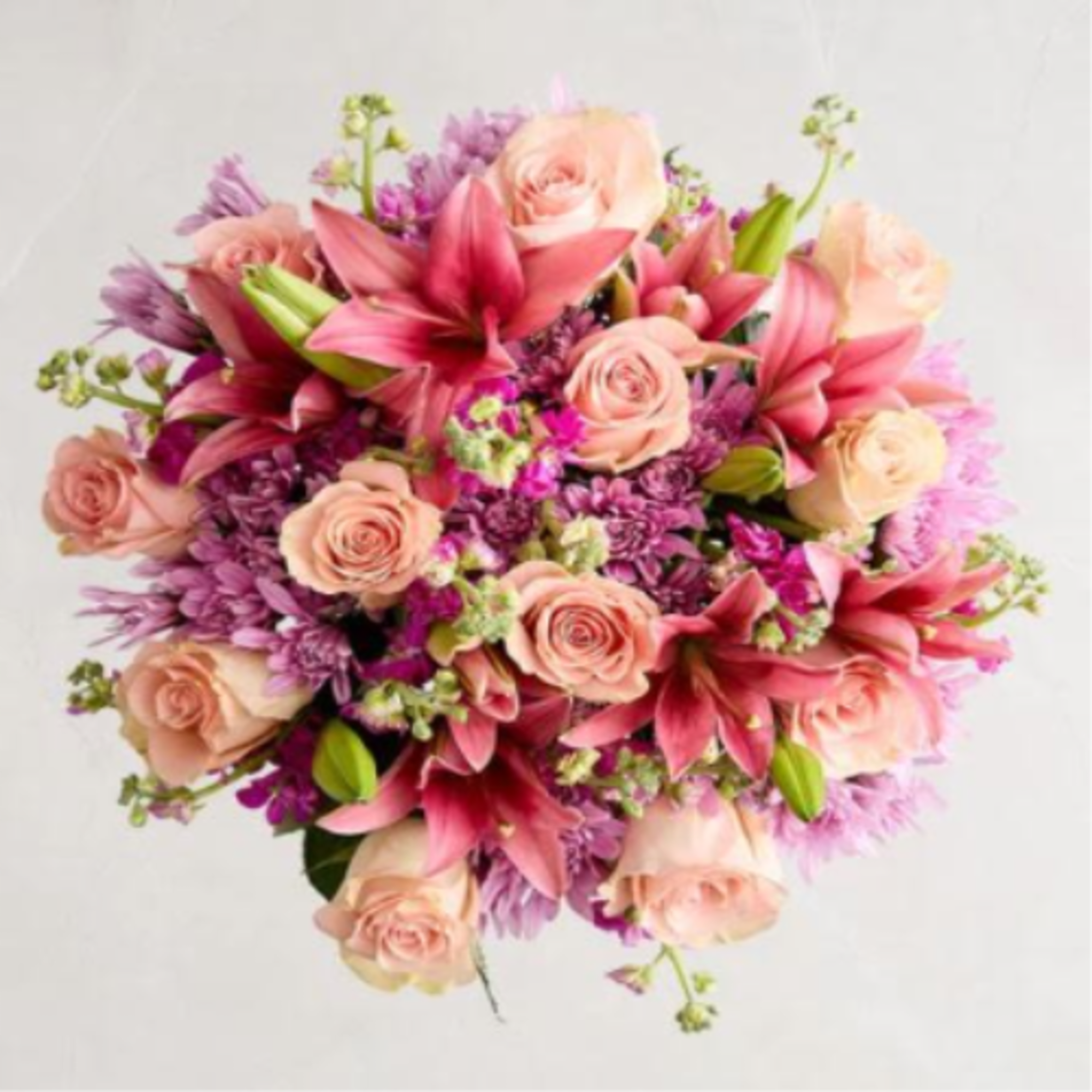  Pet Friendly?
No . This arrangement contains Lilies and Chrysanthemums, both of