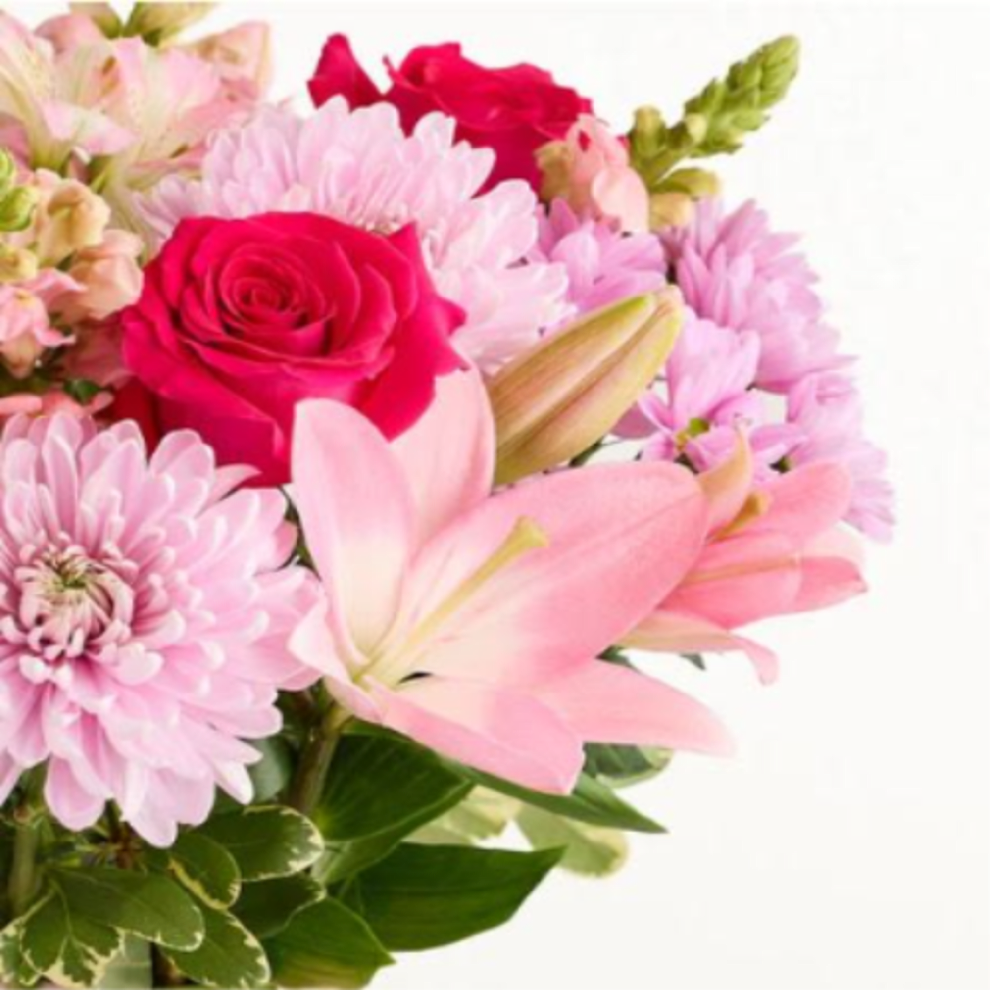  Pet Friendly?
No . This arrangement contains Lilies, which are highly toxic