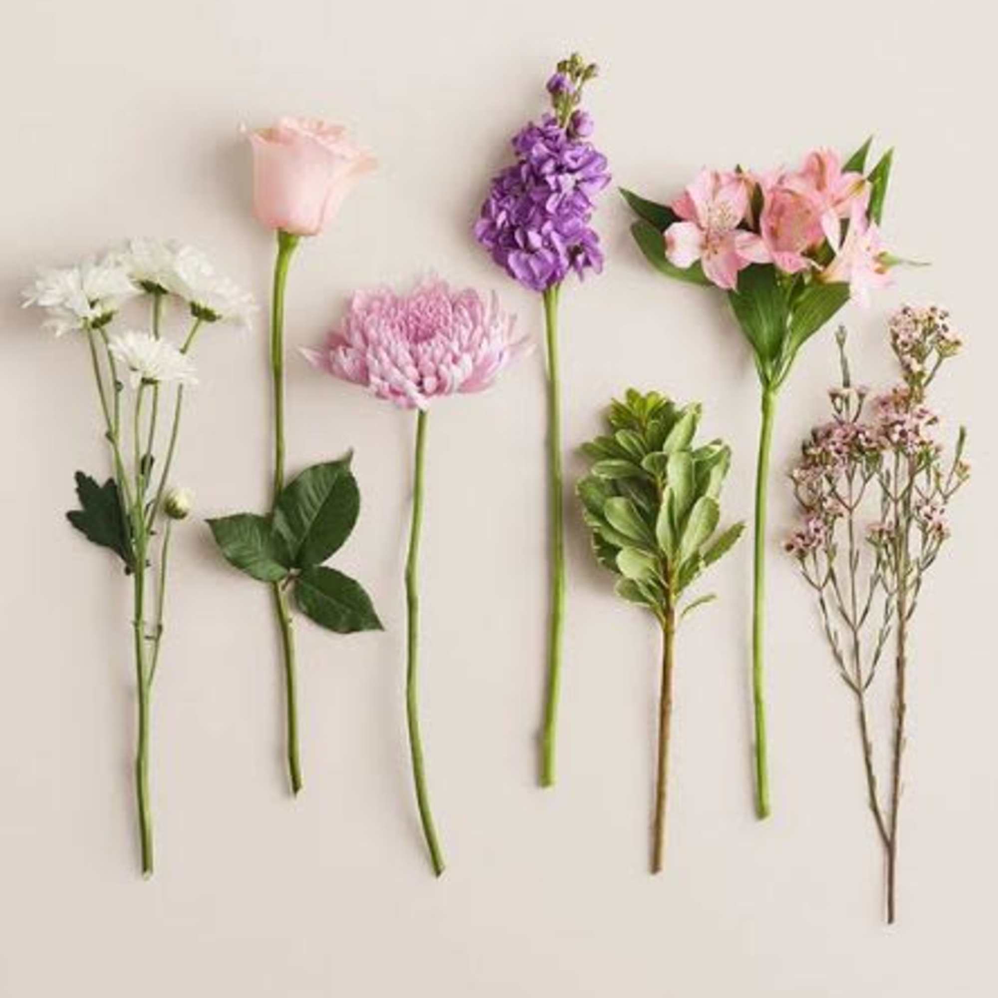  Pet Friendly?
No This arrangement contains Chrysanthemums and Daisies, both of which
