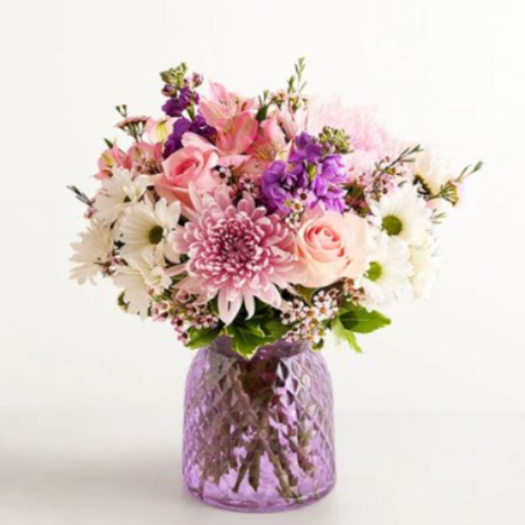  Pet Friendly?
No This arrangement contains Chrysanthemums and Daisies, both of which